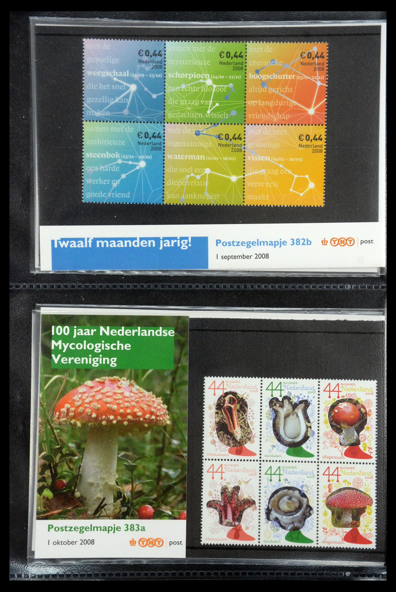 35187 215 - Postzegelverzameling 35187 Nederland PTT mapjes 1982-2019!