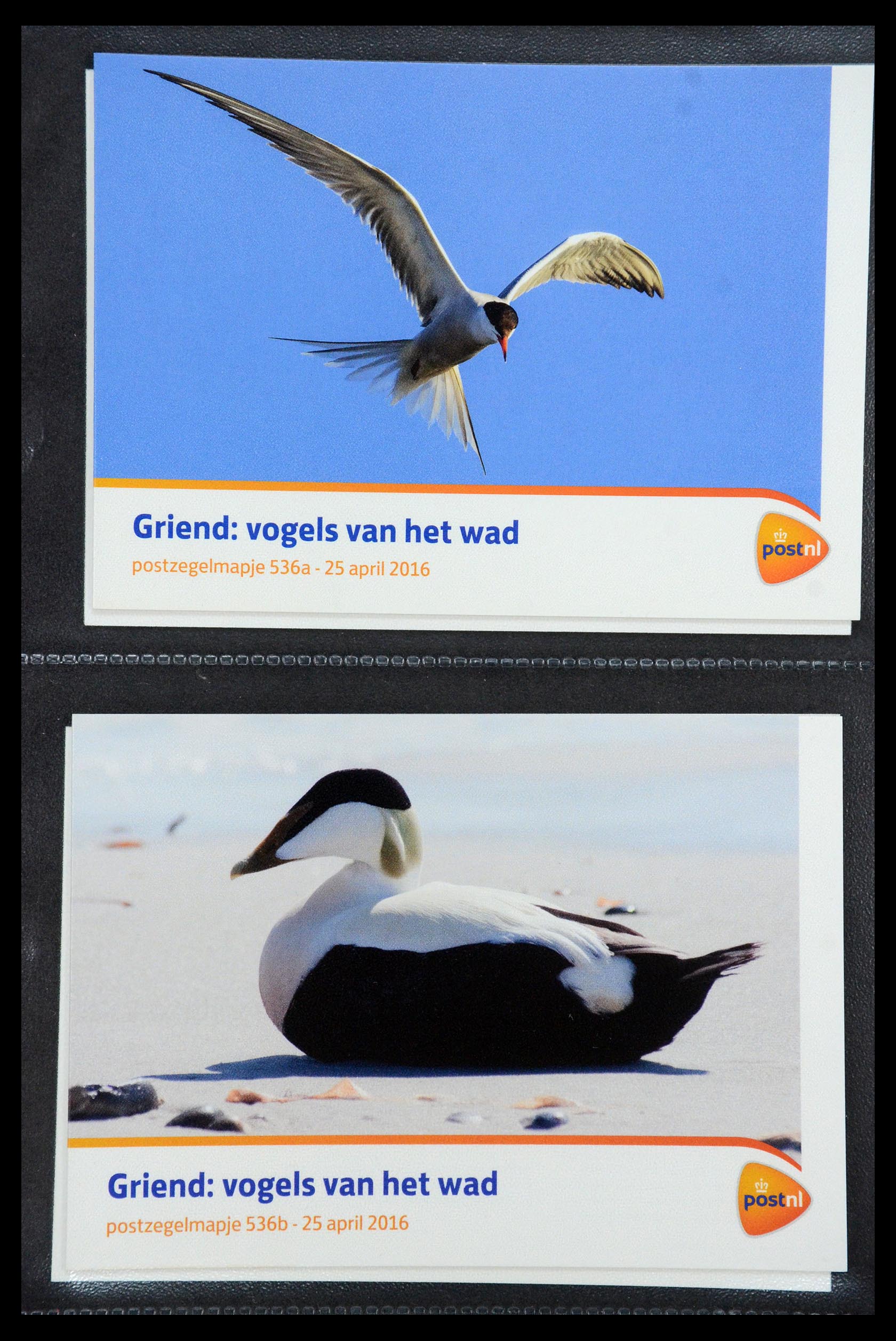 35187 319 - Postzegelverzameling 35187 Nederland PTT mapjes 1982-2019!