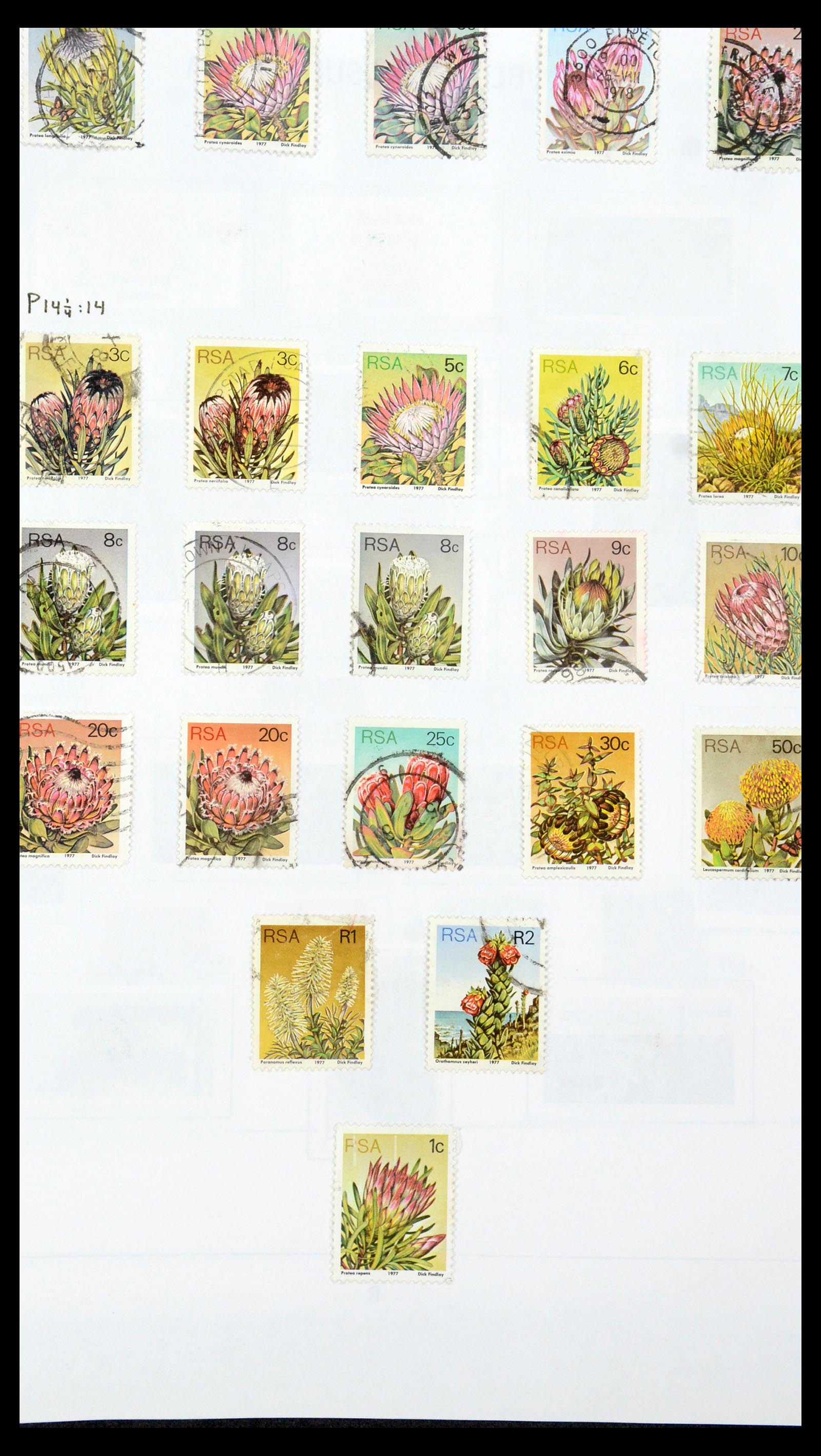 35242 119 - Postzegelverzameling 35242 Zuid Afrika en gebieden 1860-2000.