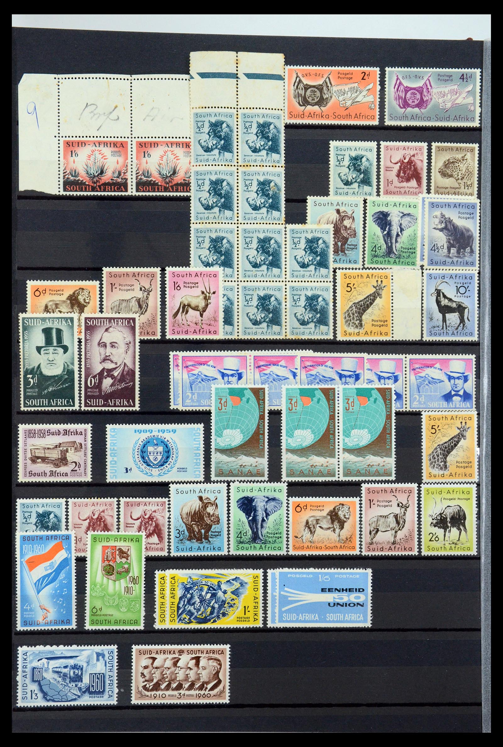 35242 143 - Postzegelverzameling 35242 Zuid Afrika en gebieden 1860-2000.