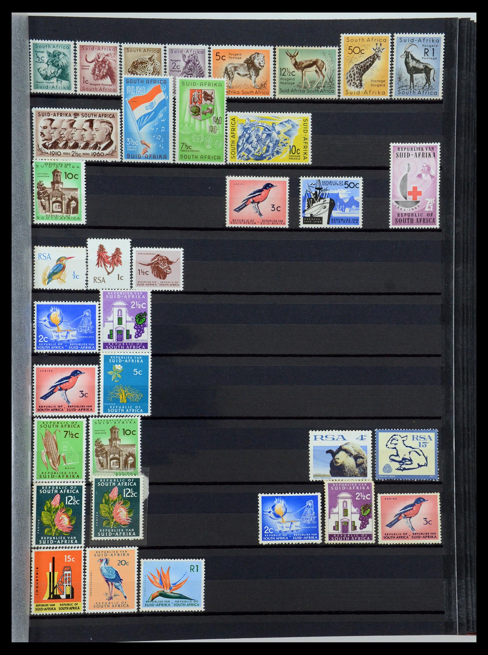 35242 144 - Postzegelverzameling 35242 Zuid Afrika en gebieden 1860-2000.