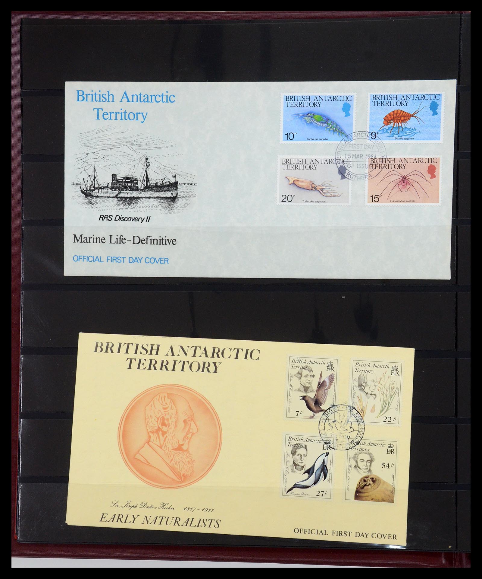 35447 003 - Stamp Collection 35447 Motif Arctic and Antarctica 1897-1999.