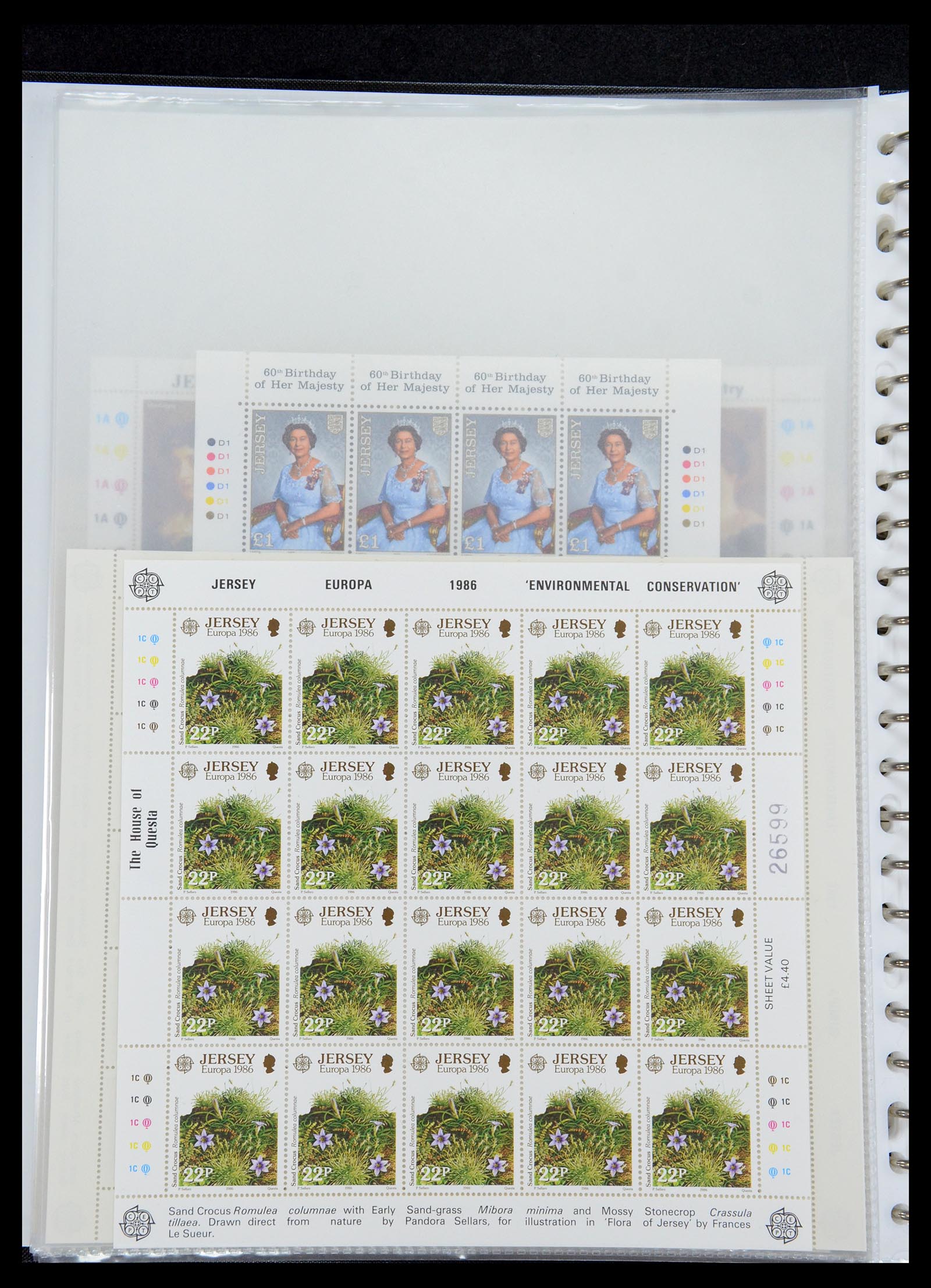35537 292 - Postzegelverzameling 35537 Jersey 1941-2016!