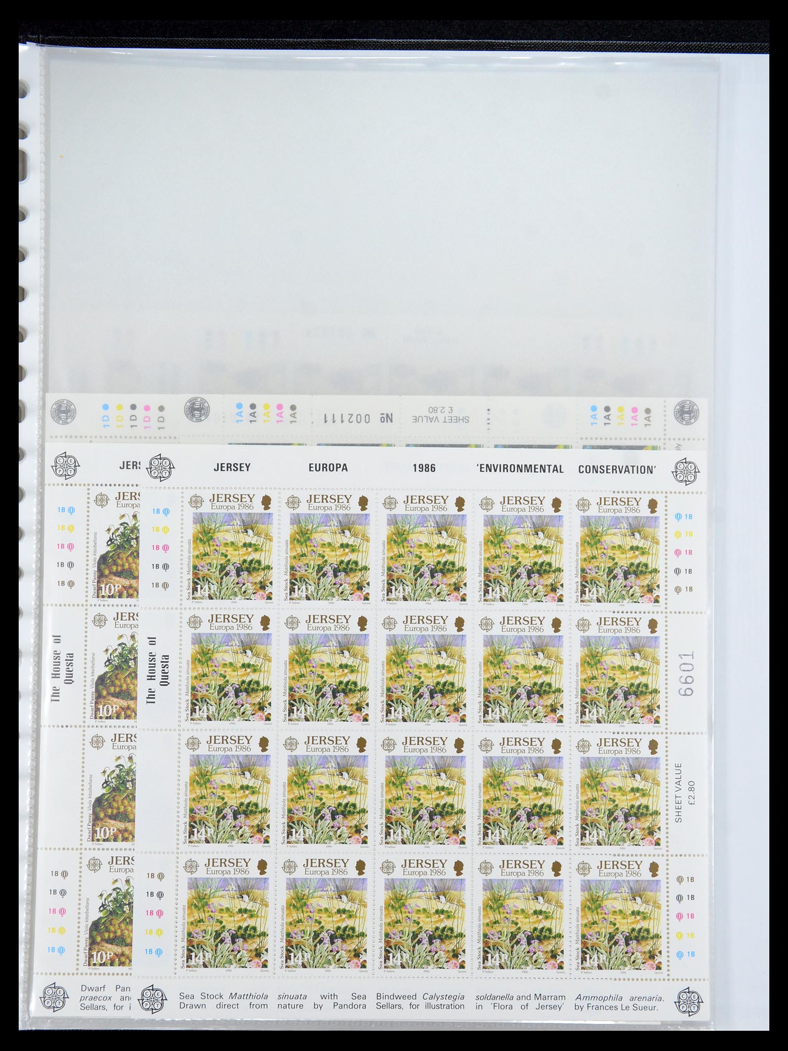 35537 293 - Postzegelverzameling 35537 Jersey 1941-2016!