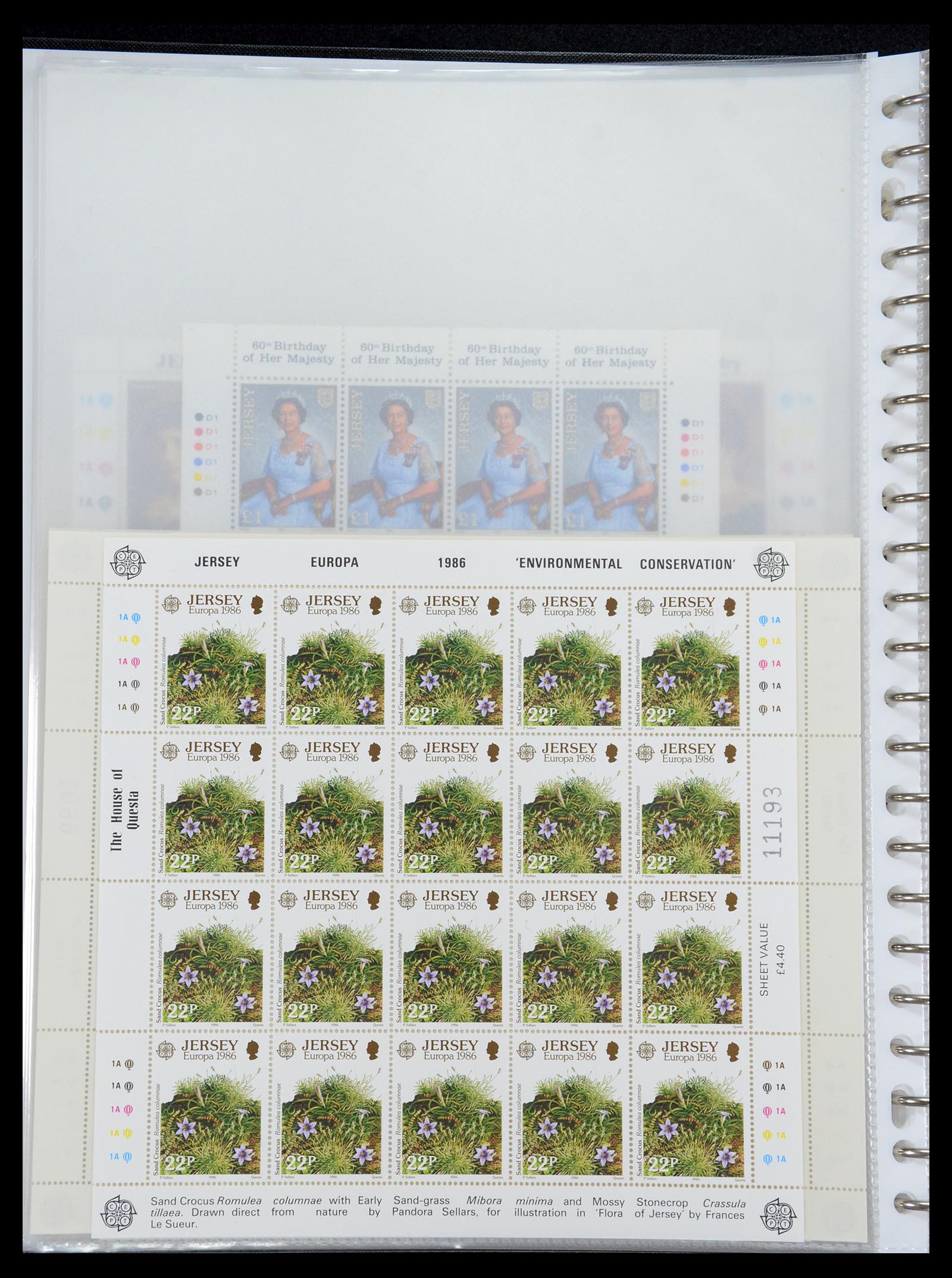 35537 294 - Postzegelverzameling 35537 Jersey 1941-2016!