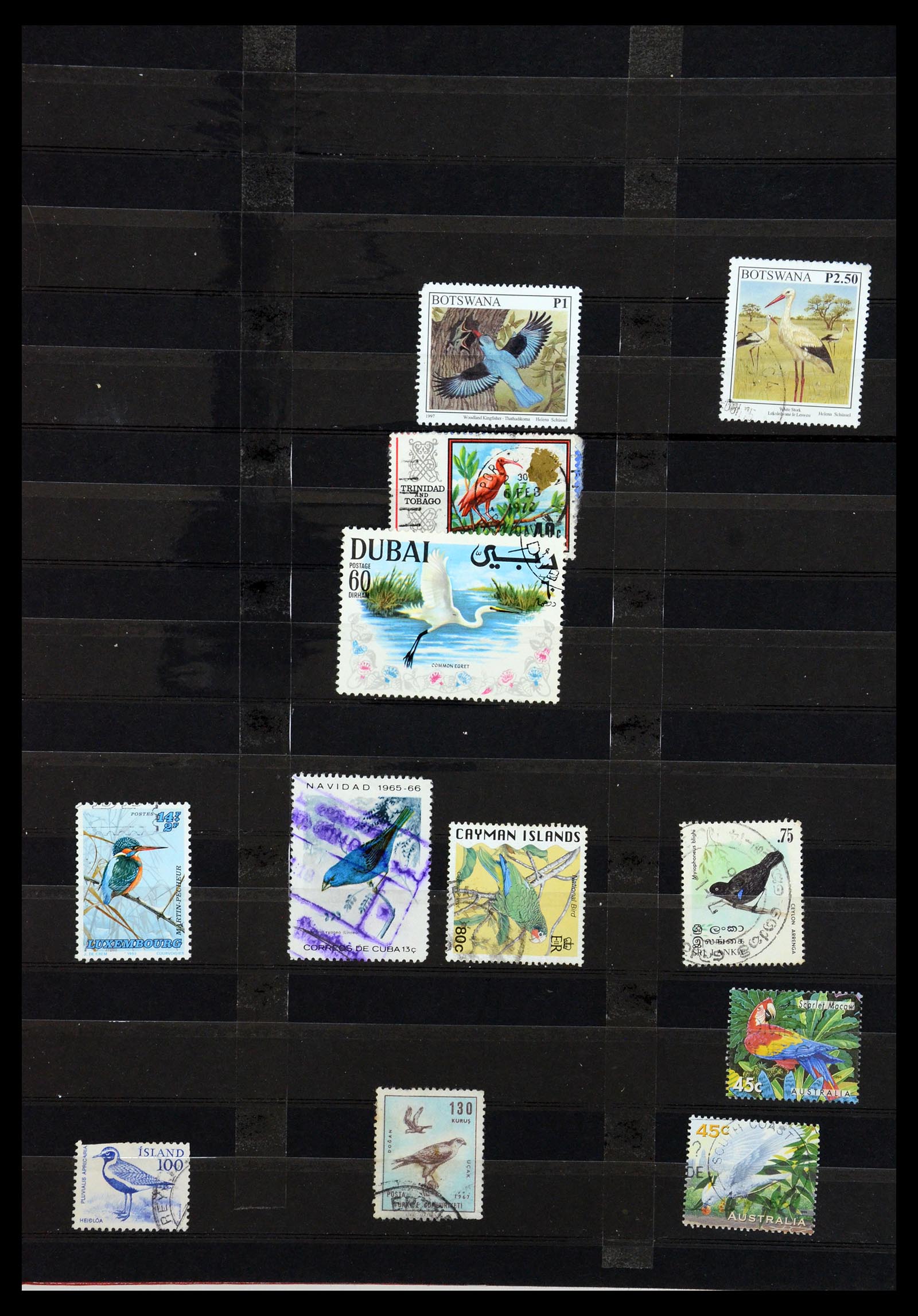 35636 671 - Postzegelverzameling 35636 Engelse koloniën.