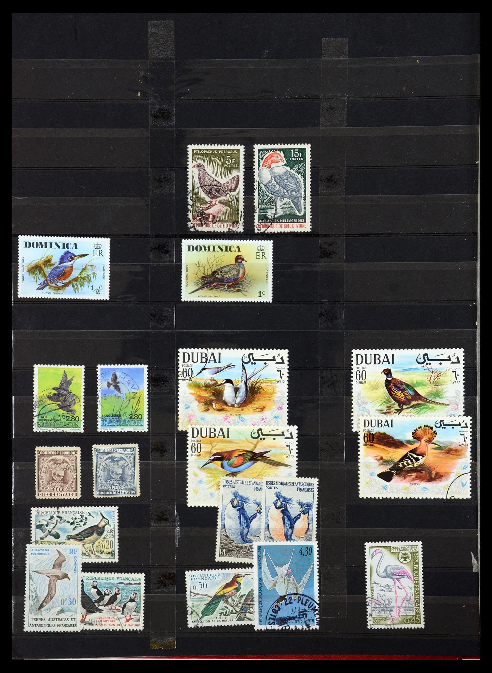 35636 672 - Postzegelverzameling 35636 Engelse koloniën.