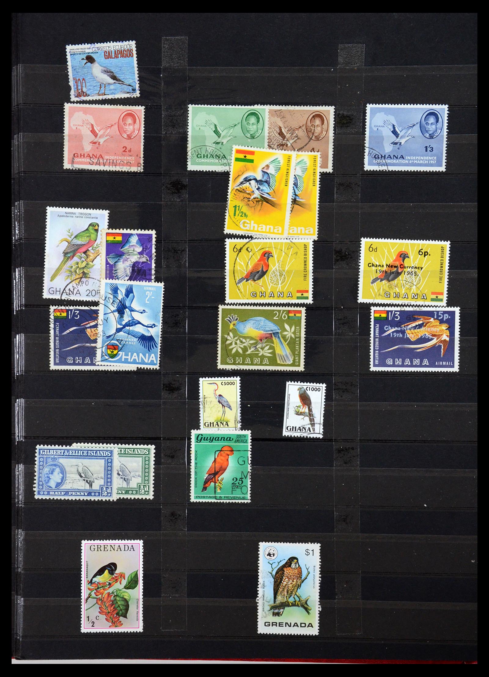 35636 675 - Postzegelverzameling 35636 Engelse koloniën.