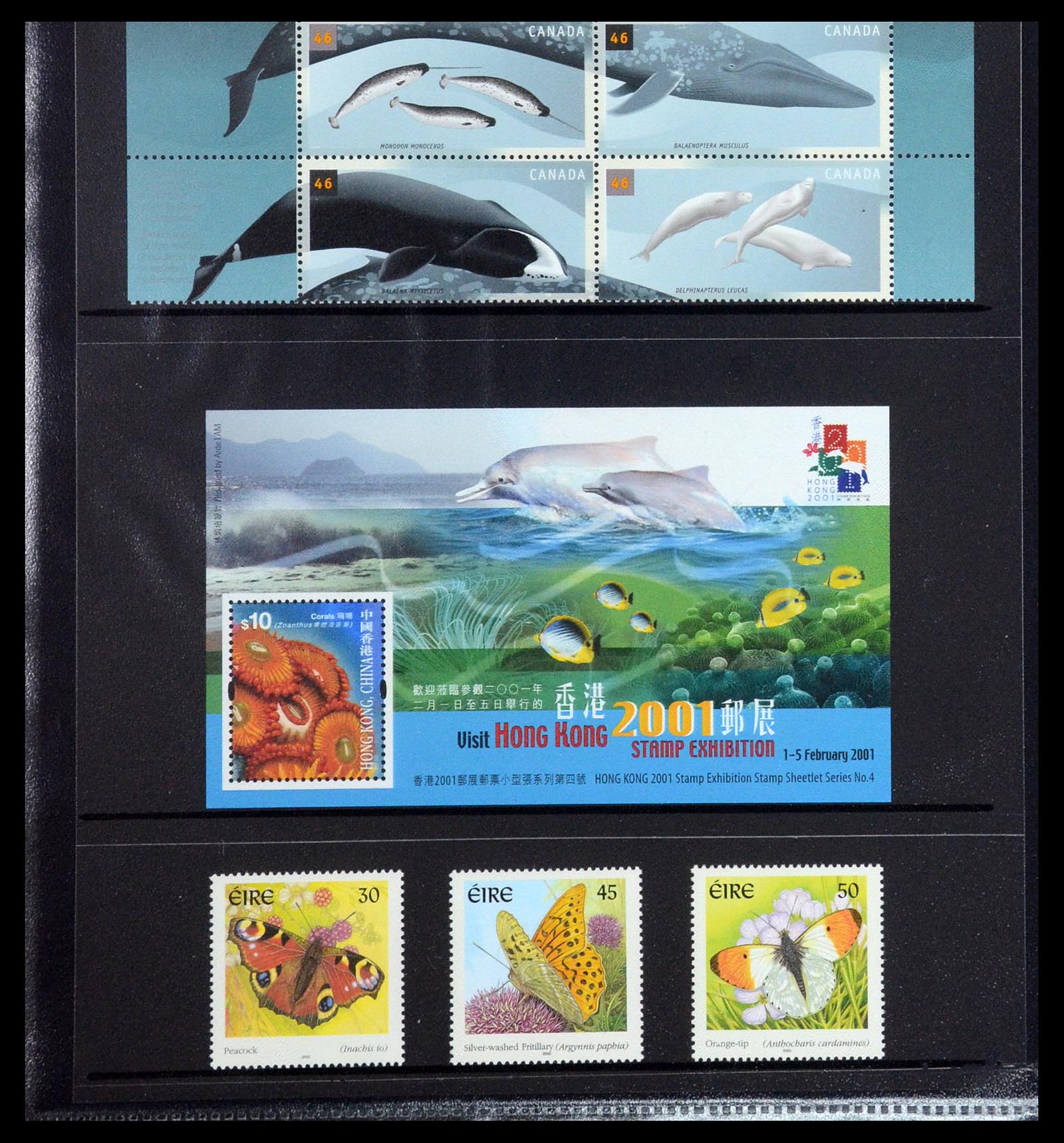 35695 352 - Postzegelverzameling 35695 Ierland 1922-2020!!!