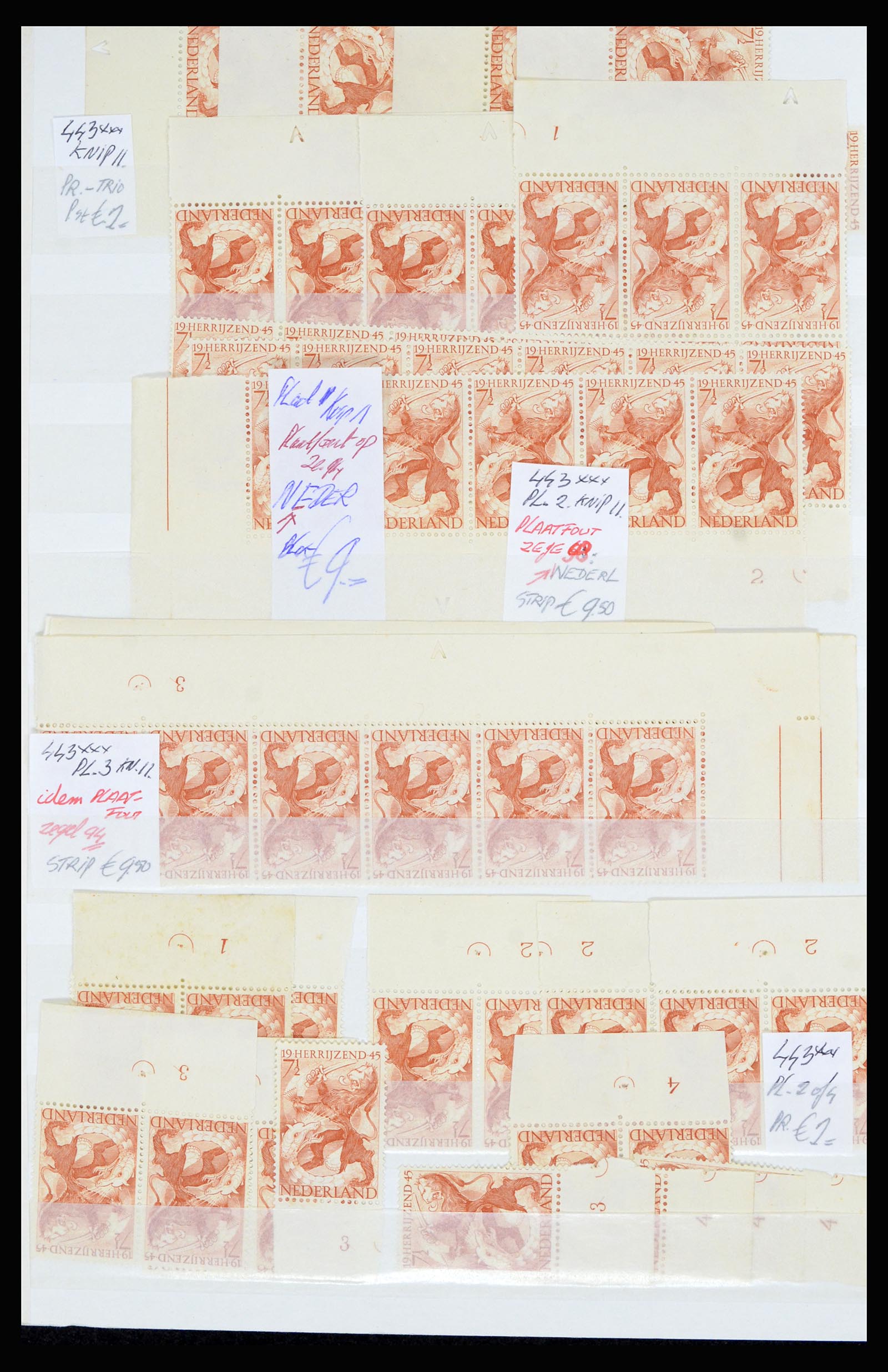 36838 055 - Postzegelverzameling 36838 Nederland velrandbijzonderheden 1906-1948.