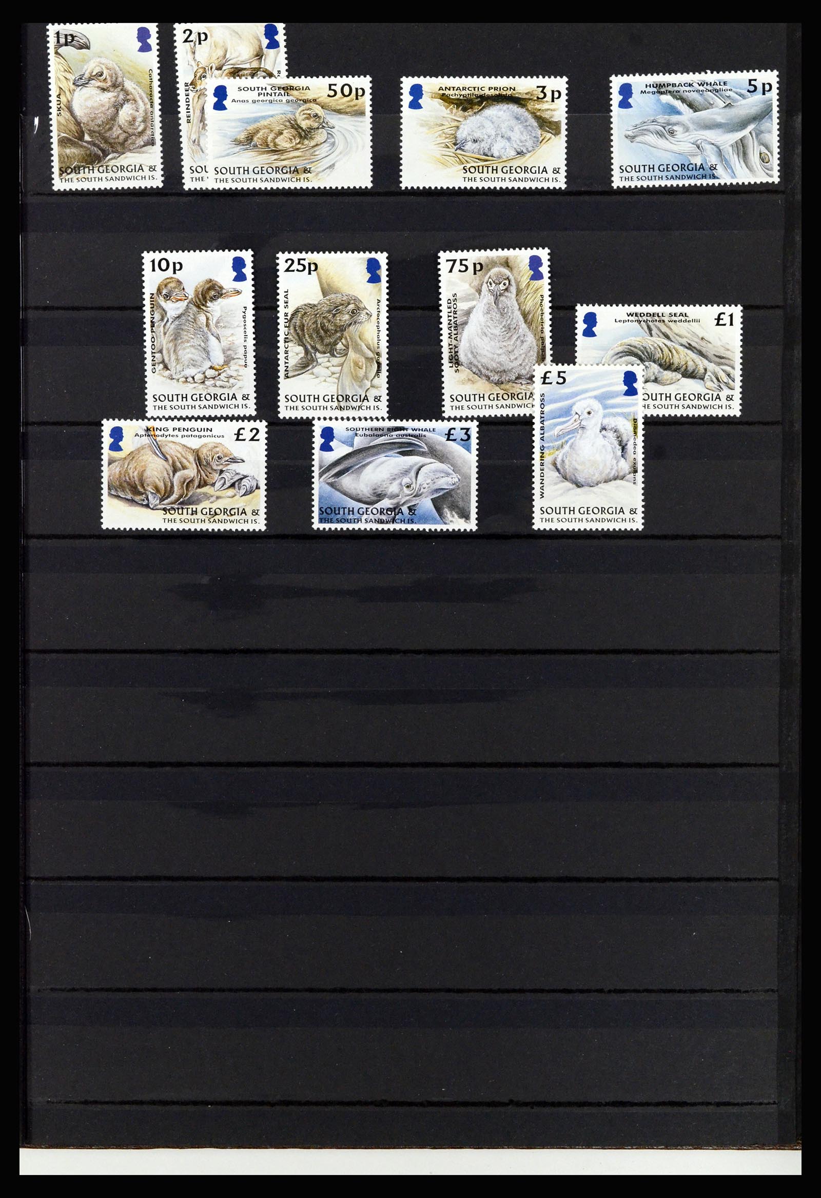 37065 082 - Postzegelverzameling 37065 Falkland Eilanden 1878-2006.