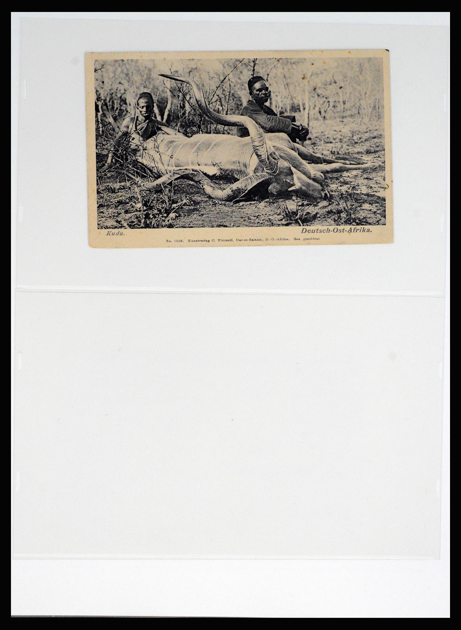 37130 086 - Postzegelverzameling 37130 Duitse koloniën 1884-1918.