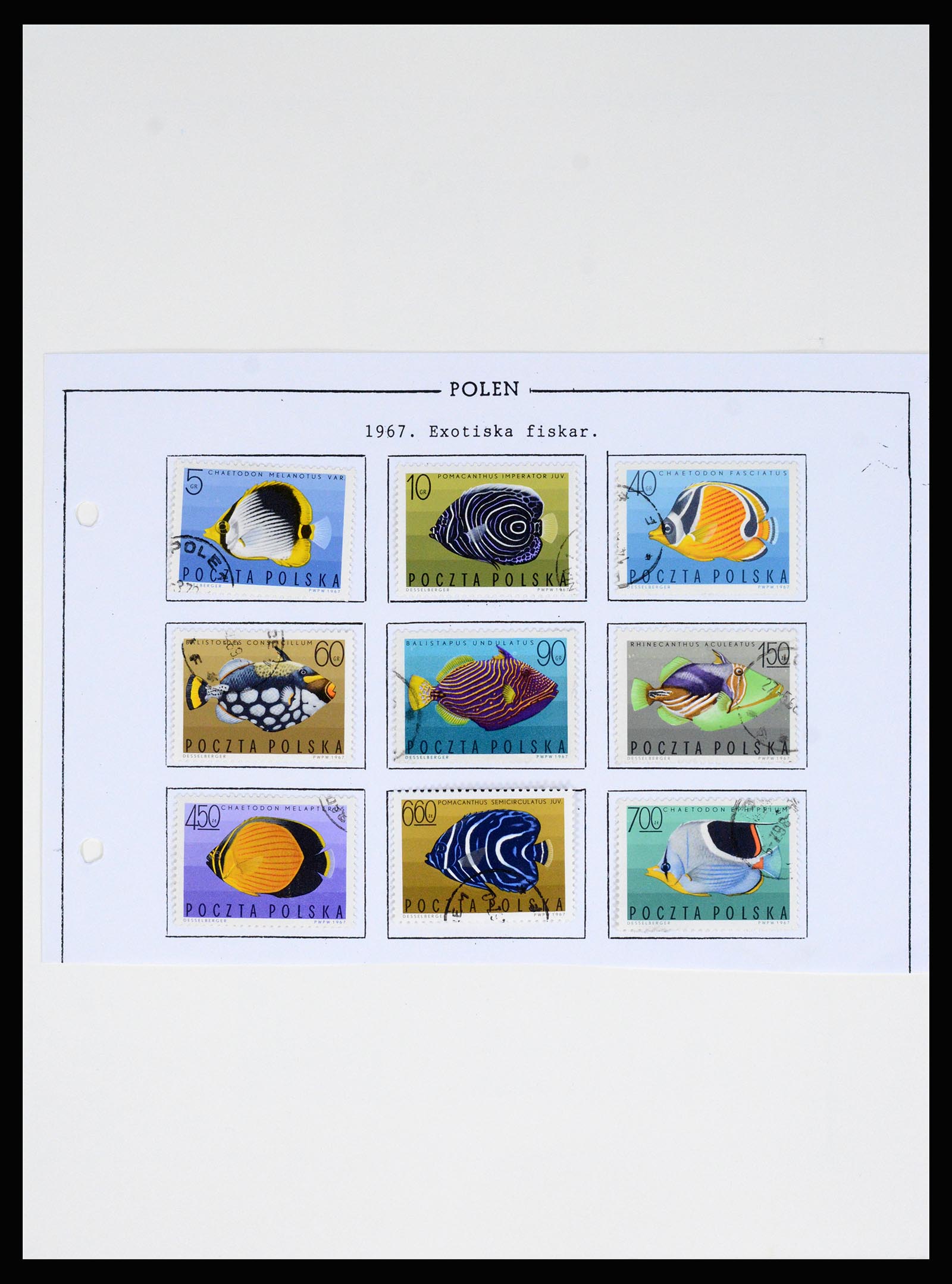 37167 136 - Postzegelverzameling 37167 Polen 1918-1970.