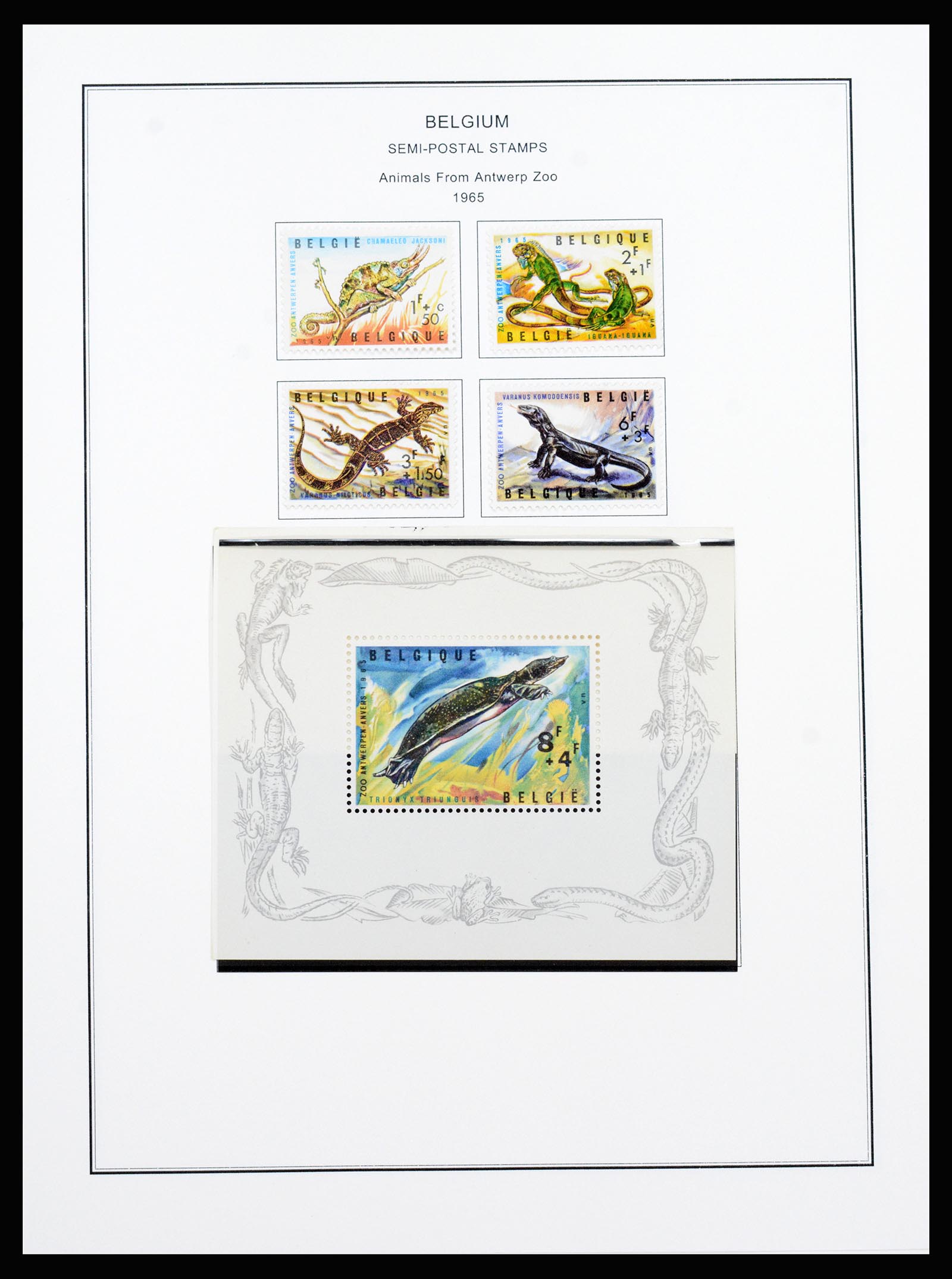 37240 160 - Postzegelverzameling 37240 België 1849-1996.