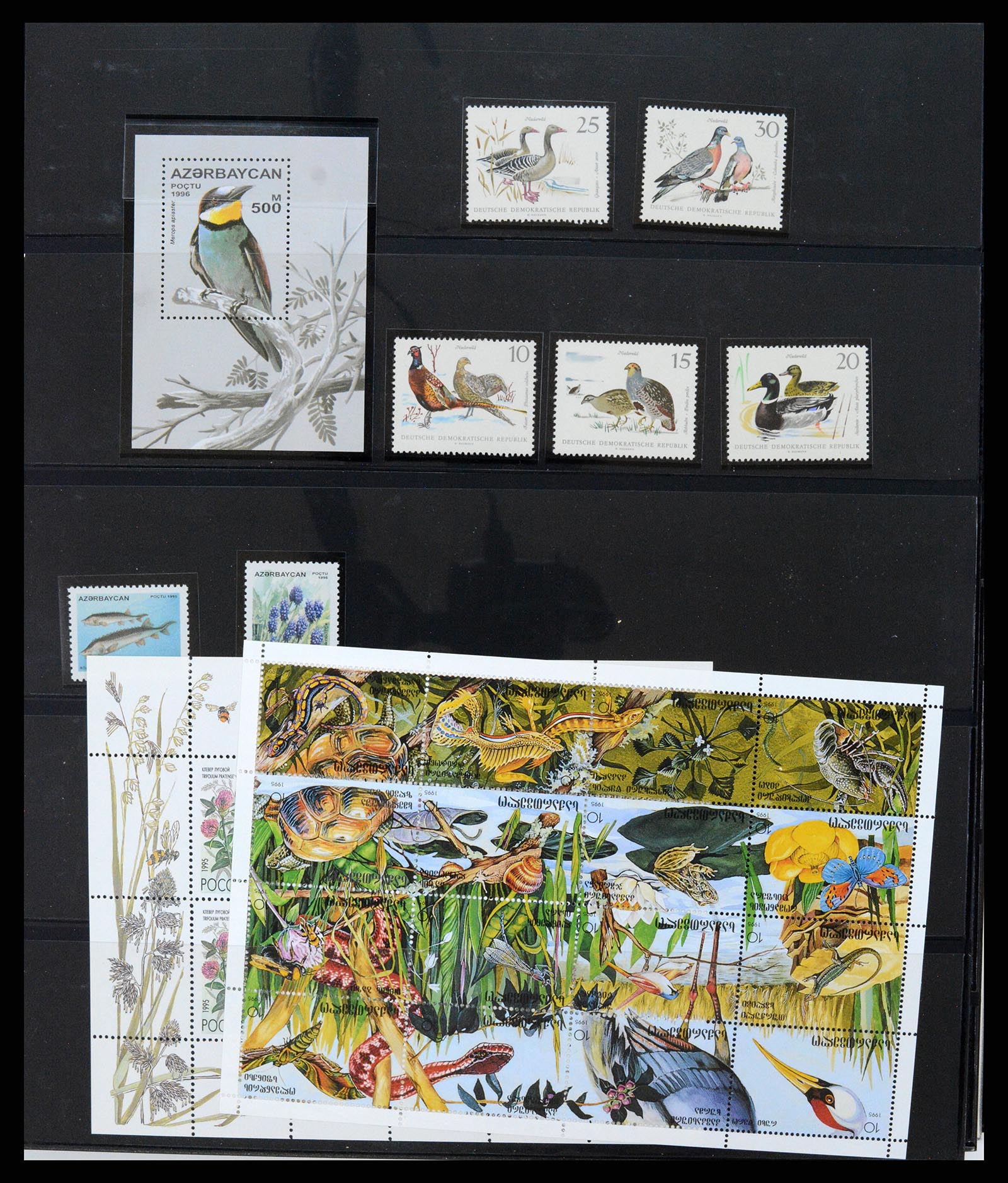 37345 096 - Postzegelverzameling 37345 Europese landen blokken.