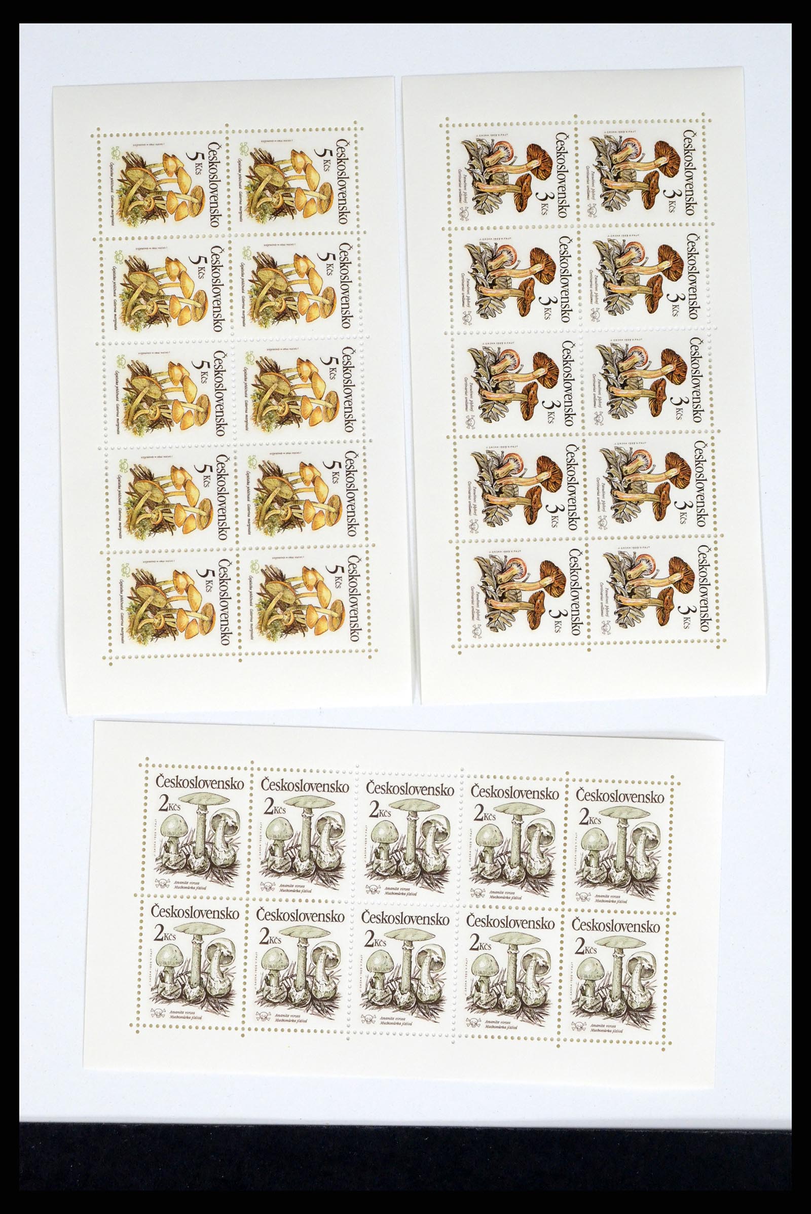 37351 267 - Postzegelverzameling 37351 Europese landen postfris 1990-2000.