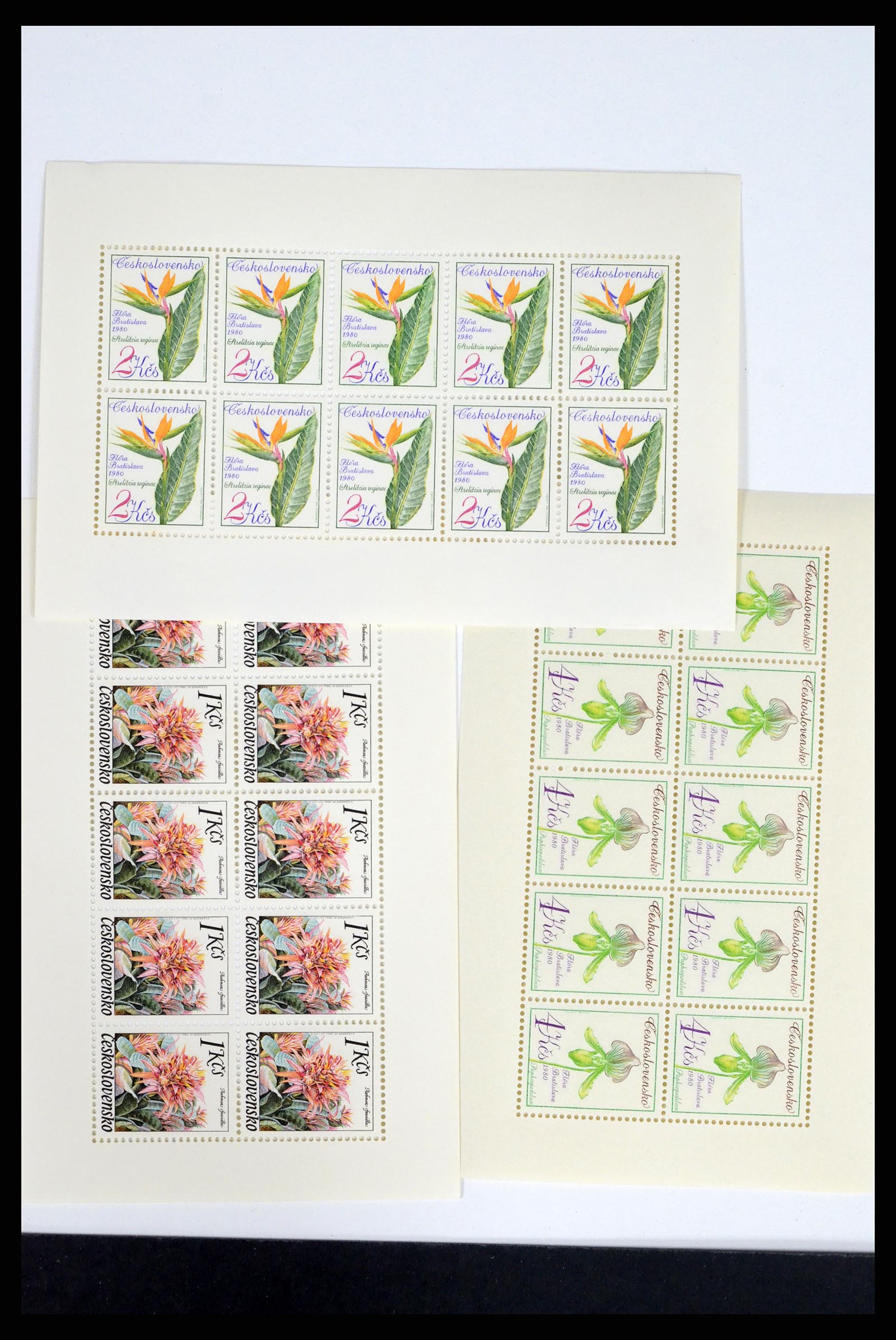 37351 272 - Postzegelverzameling 37351 Europese landen postfris 1990-2000.