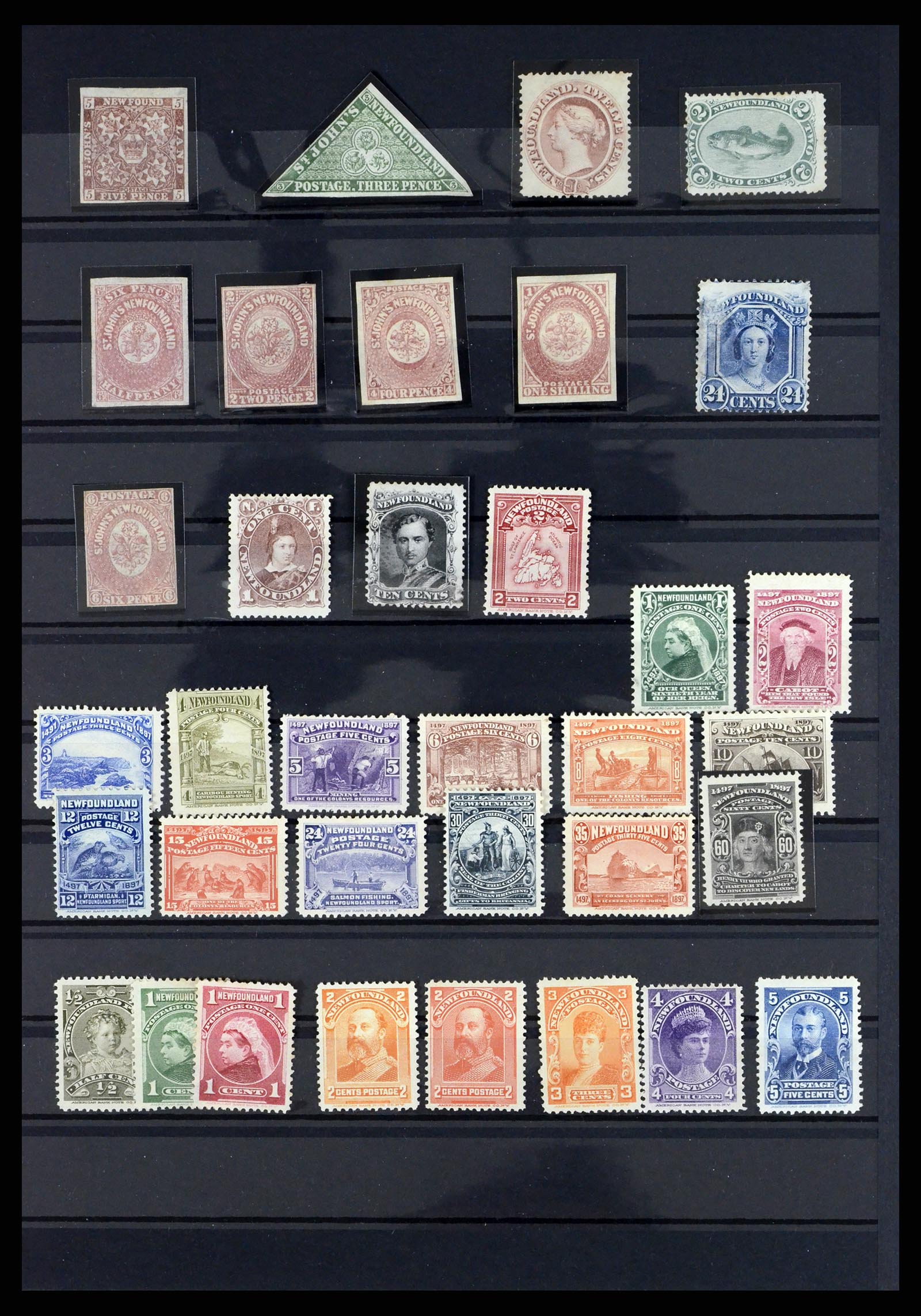 37449 001 - Stamp collection 37449 New Foundland 1857-1947.