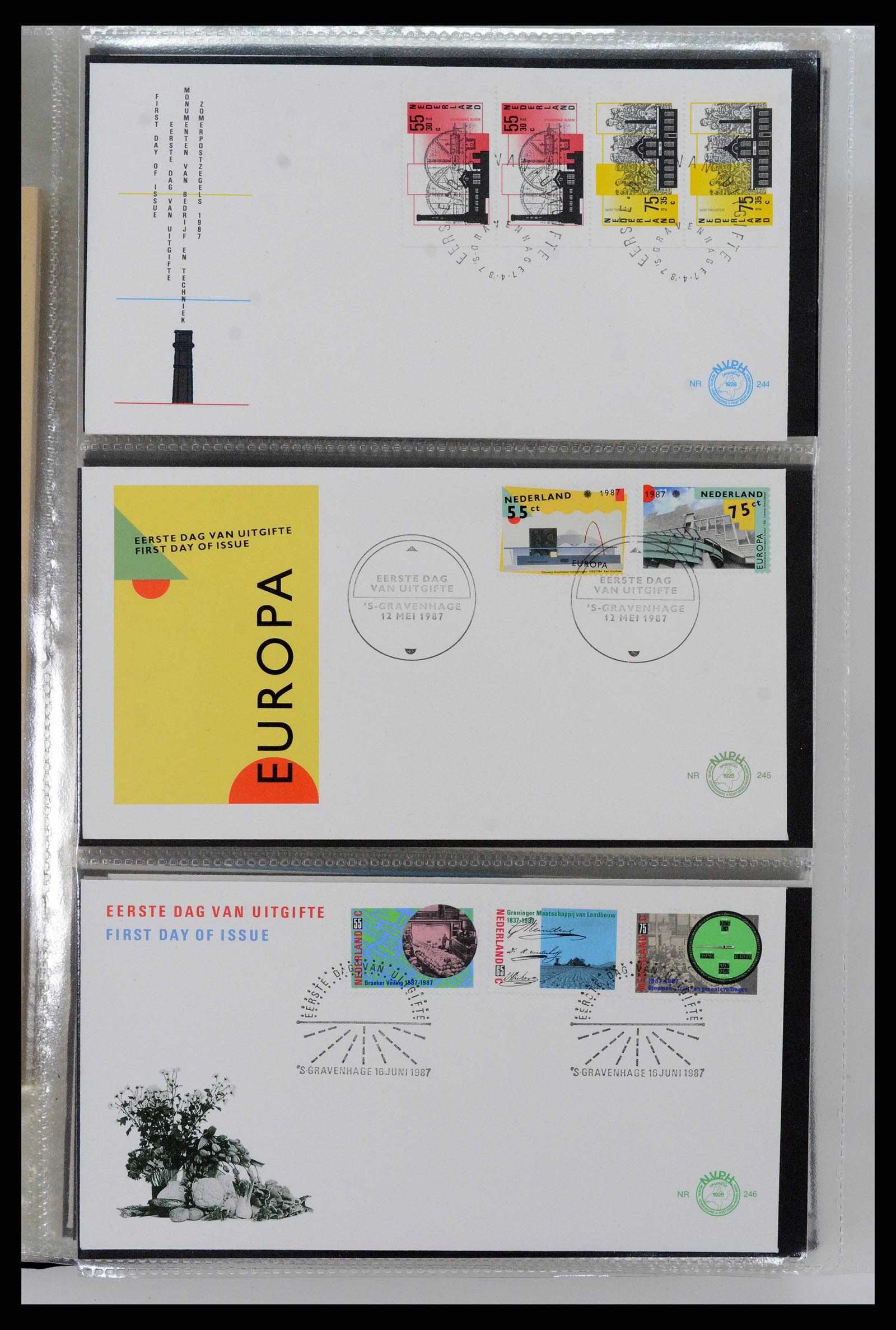 37461 100 - Postzegelverzameling 37461 Nederland FDC's 1950-2014.