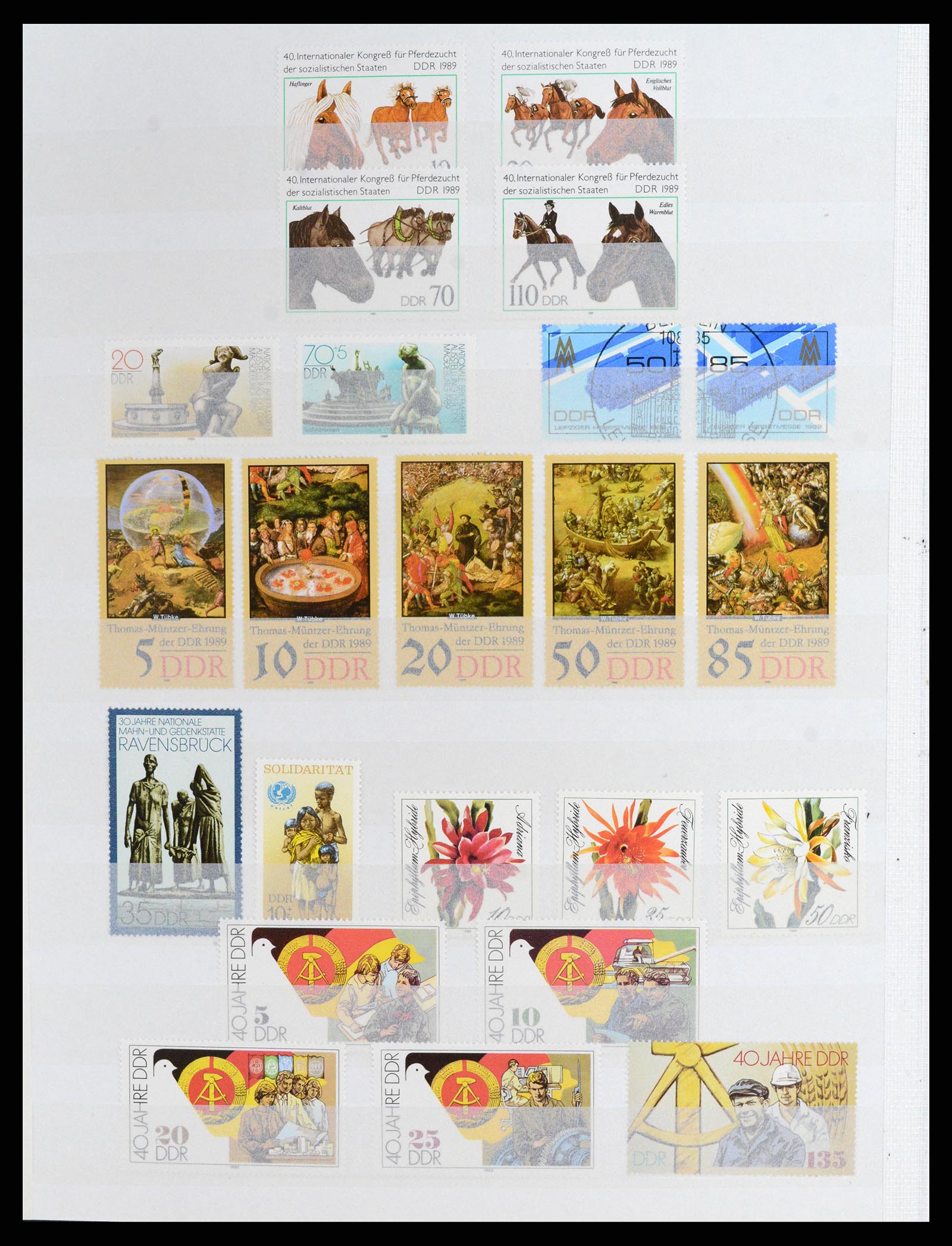 37501 116 - Postzegelverzameling 37501 DDR 1949-1990.