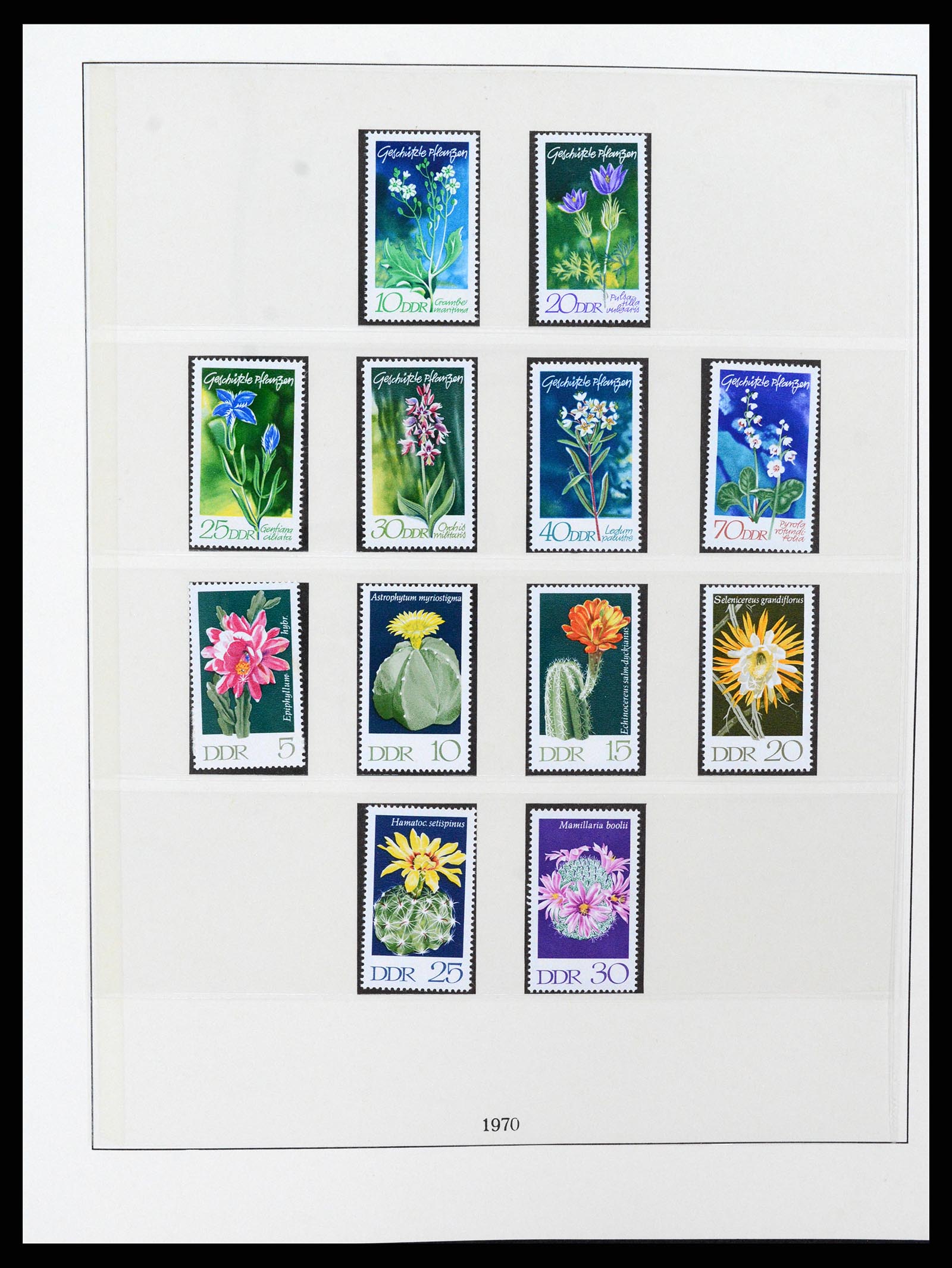 37507 132 - Postzegelverzameling 37507 D.D.R. 1949-1990.