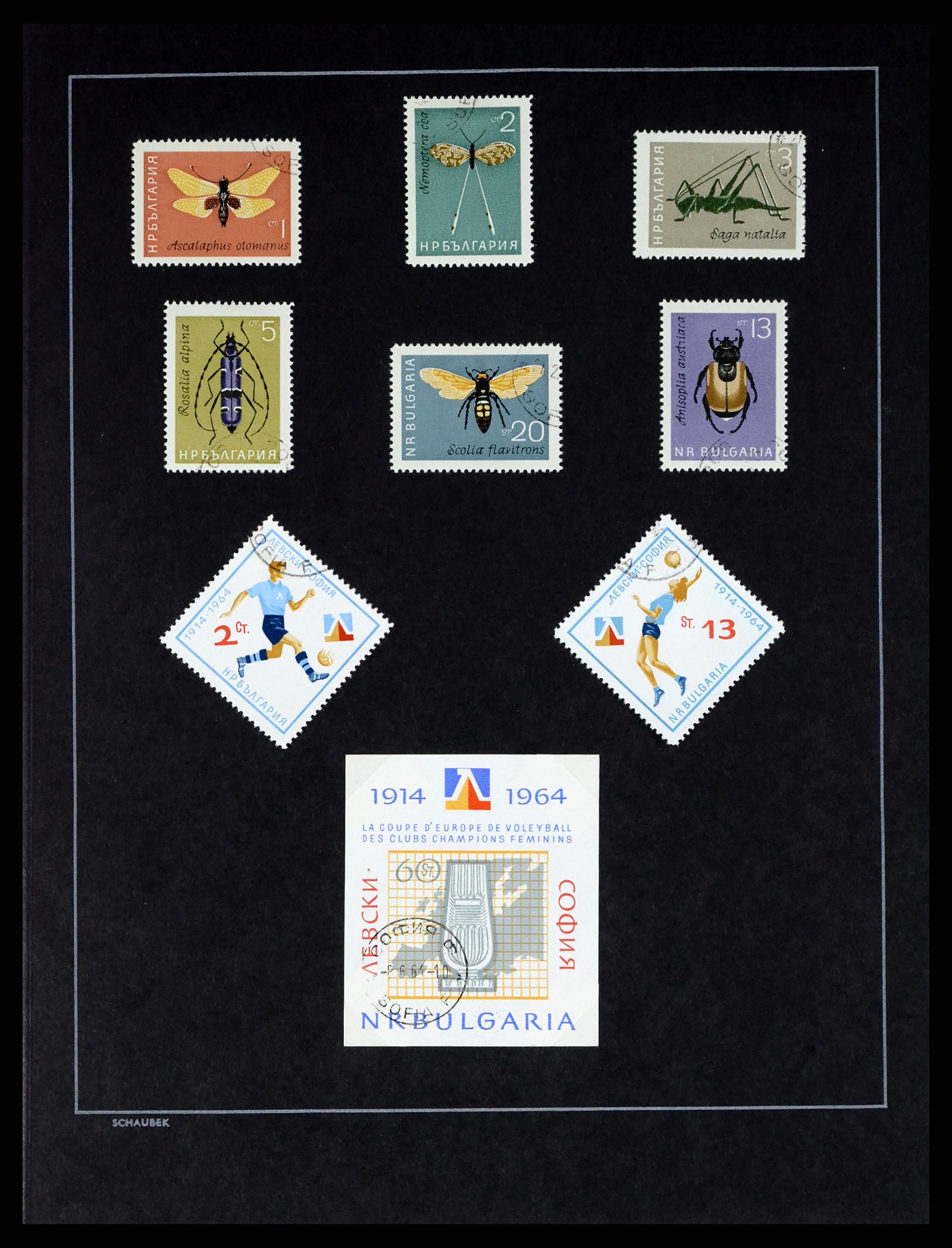 37516 065 - Postzegelverzameling 37516 Bulgarije 1879-1973.