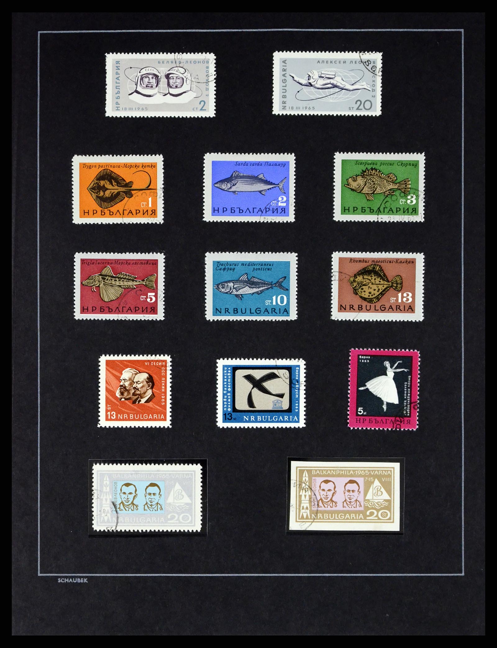 37516 073 - Postzegelverzameling 37516 Bulgarije 1879-1973.