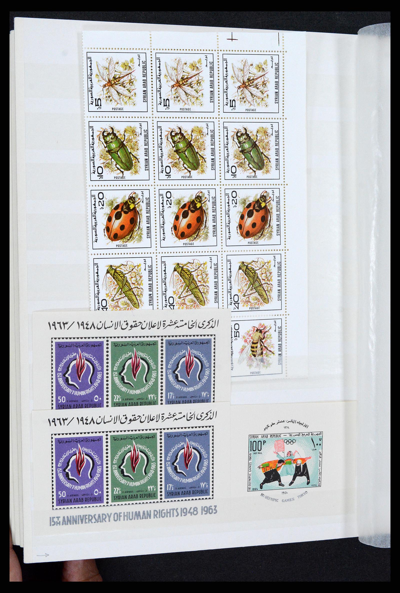 37646 115 - Postzegelverzameling 37646 Syrië 1920-1995.