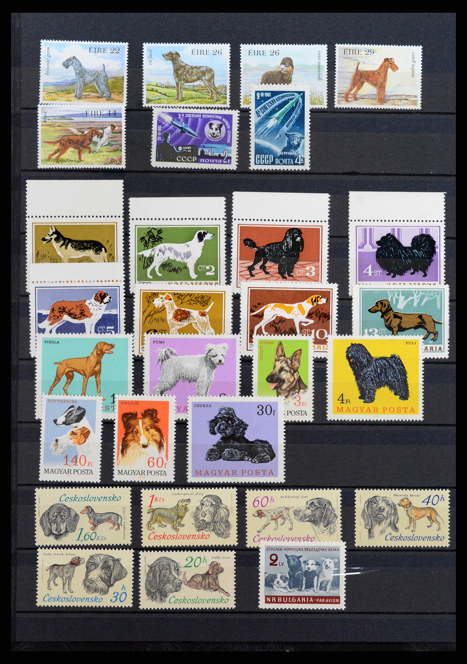 37671 074 - Postzegelverzameling 37671 Motief honden 1950-2010.