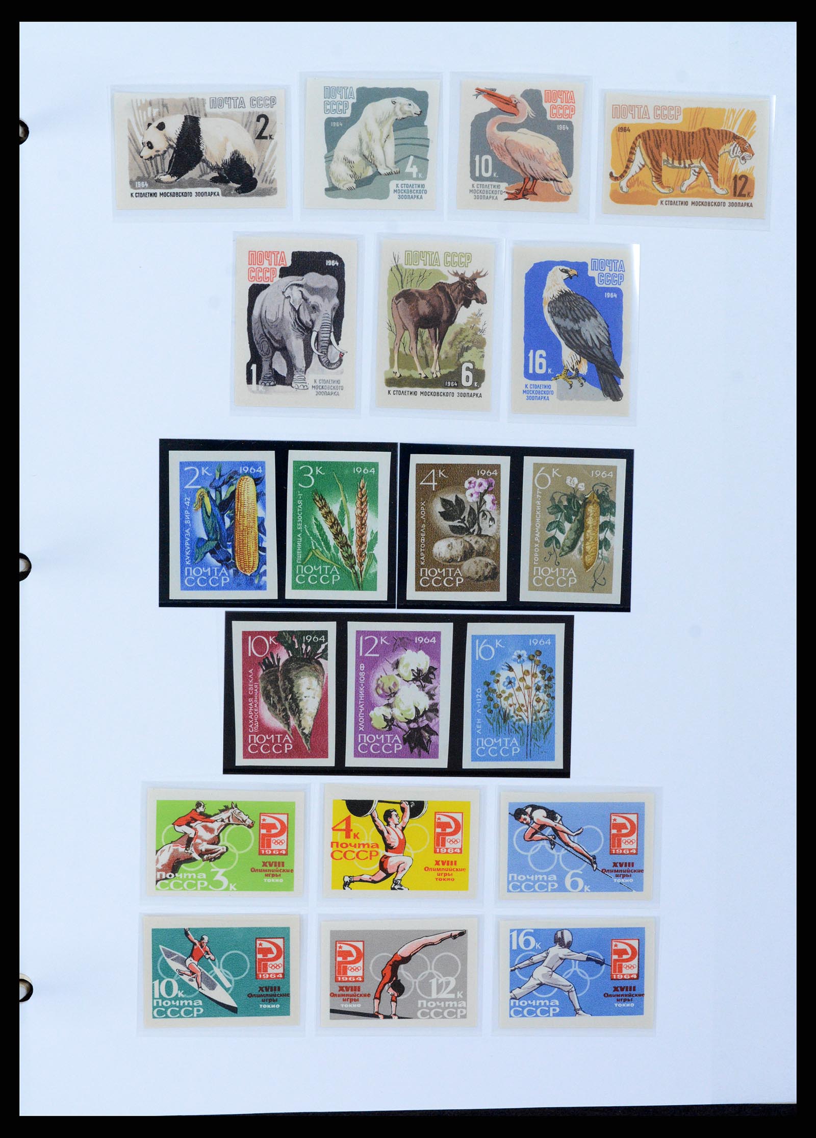 37705 1708 - Stamp collection 37705 Eastern Europe 1855-2010.