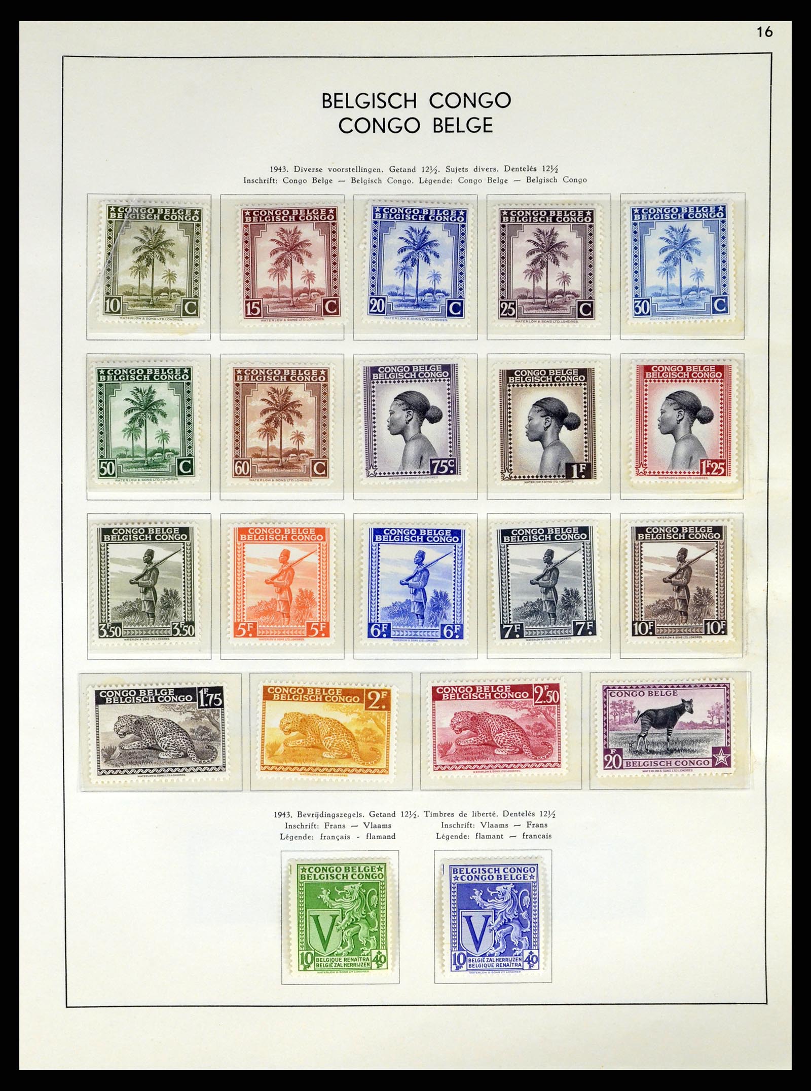 37959 171 - Postzegelverzameling 37959 België en Belgisch Congo 1849-1960.