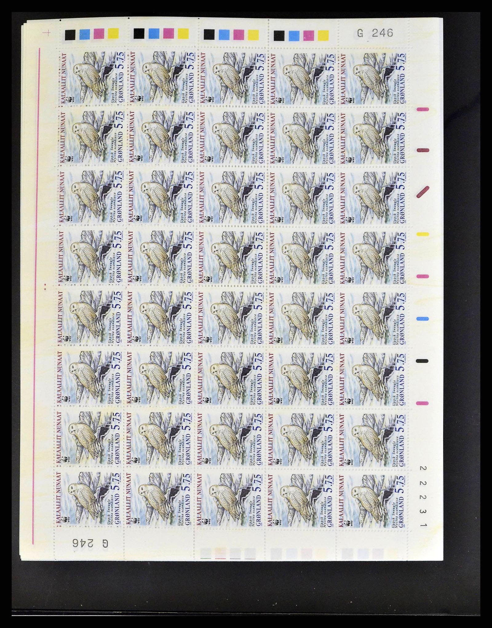 38242 0306 - Postzegelverzameling 38242 Europese landen postfris 1937-2002.