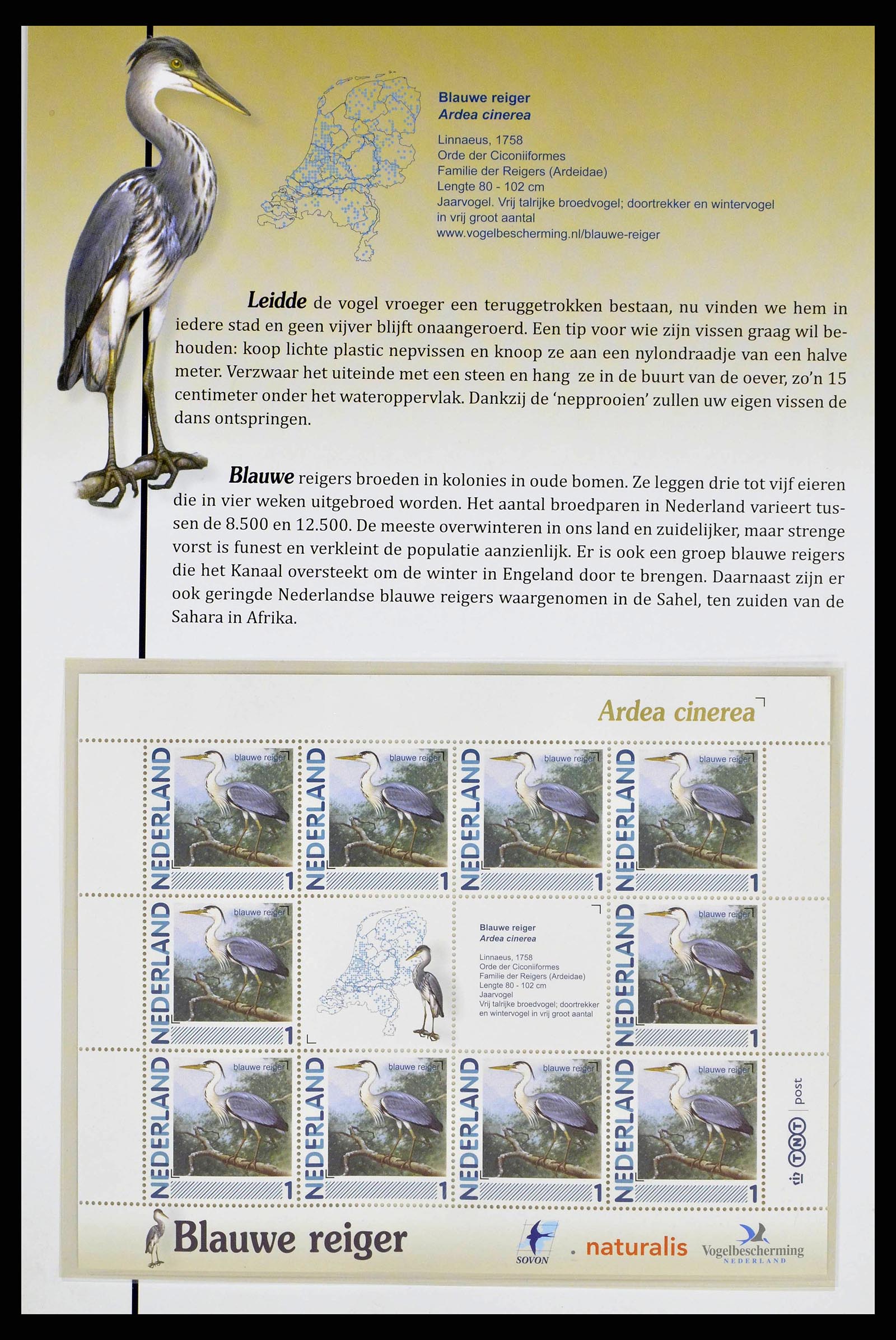 38383 0004 - Stamp collection 38383 Netherlands Dutch birds.