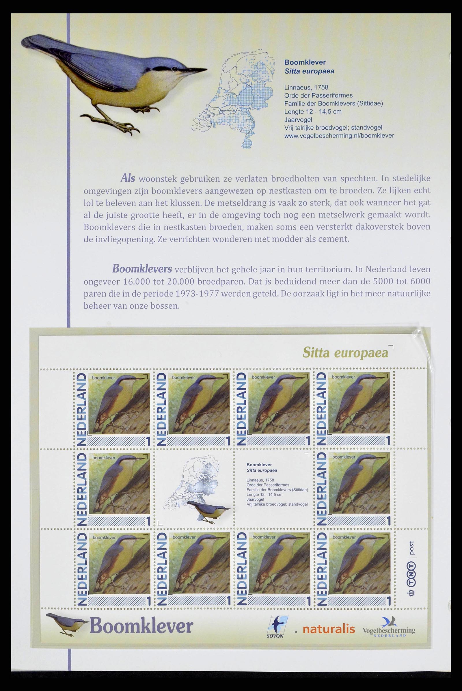 38383 0006 - Stamp collection 38383 Netherlands Dutch birds.