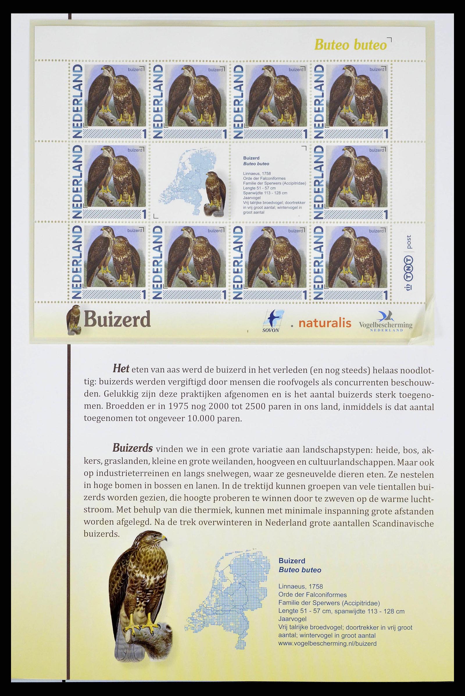 38383 0008 - Stamp collection 38383 Netherlands Dutch birds.