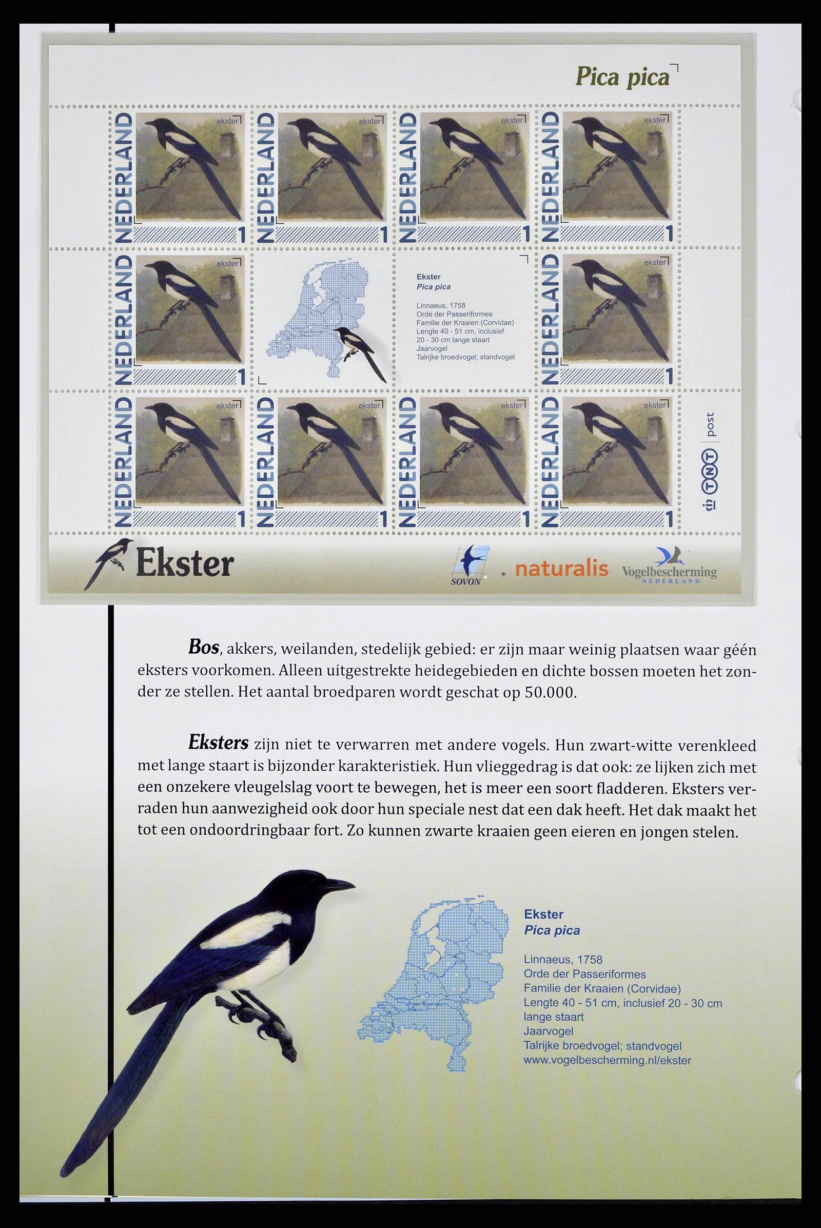 38383 0010 - Stamp collection 38383 Netherlands Dutch birds.