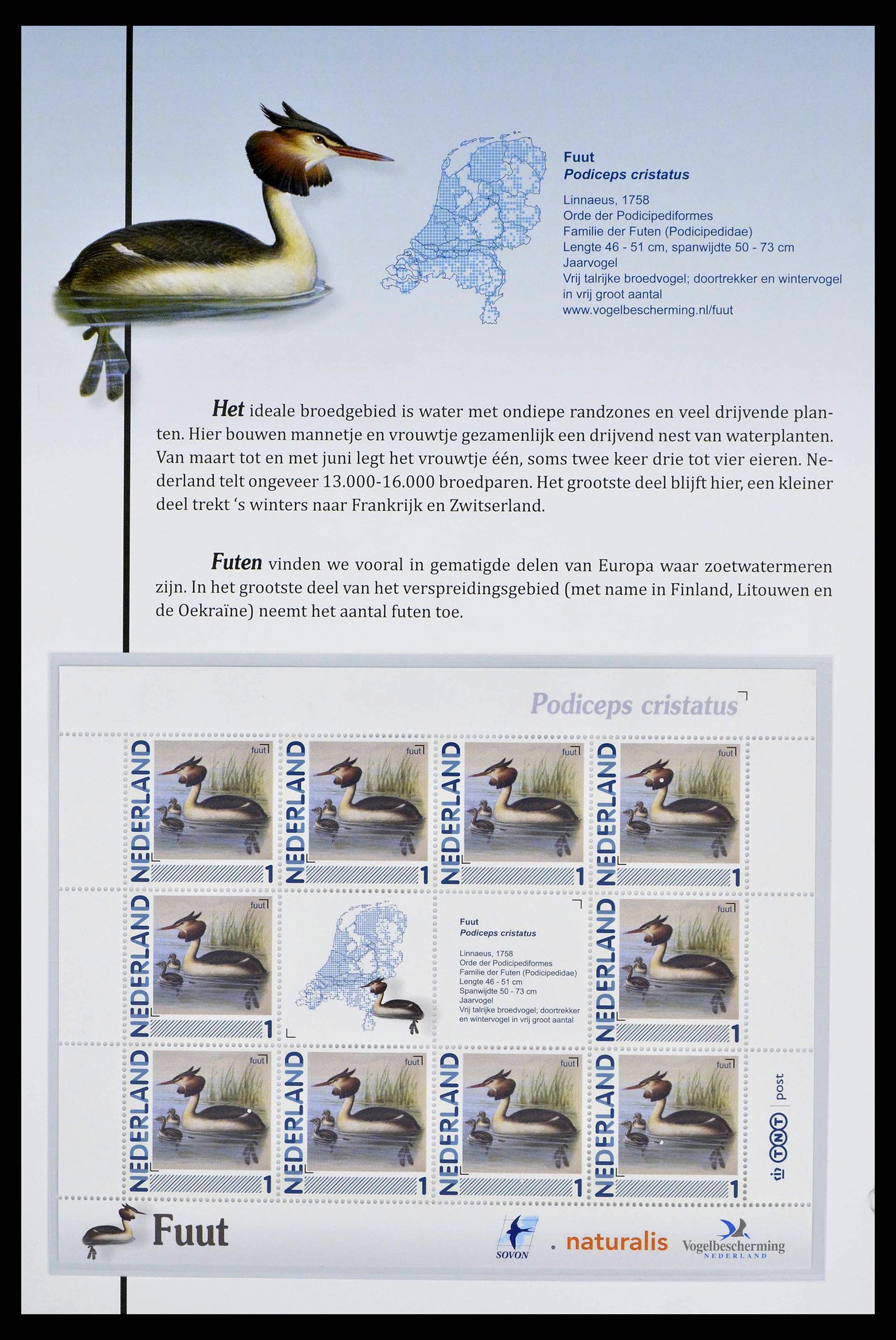 38383 0012 - Stamp collection 38383 Netherlands Dutch birds.