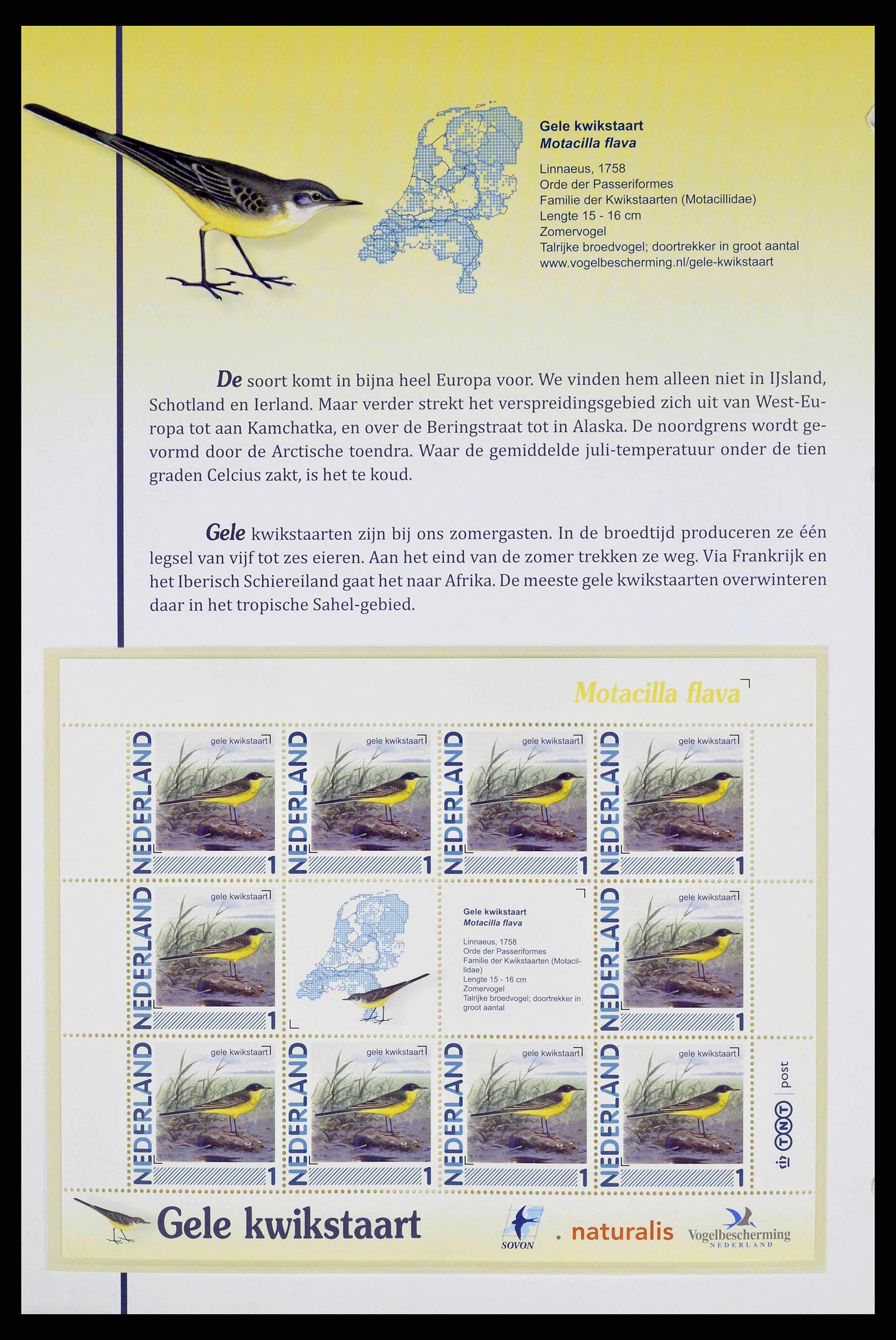 38383 0015 - Stamp collection 38383 Netherlands Dutch birds.