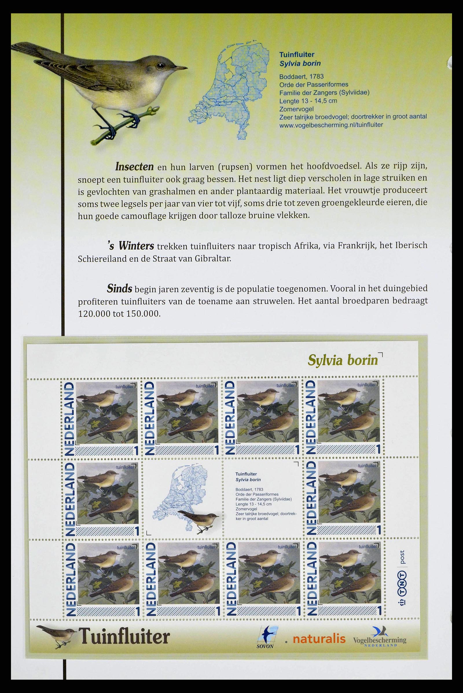 38383 0016 - Stamp collection 38383 Netherlands Dutch birds.