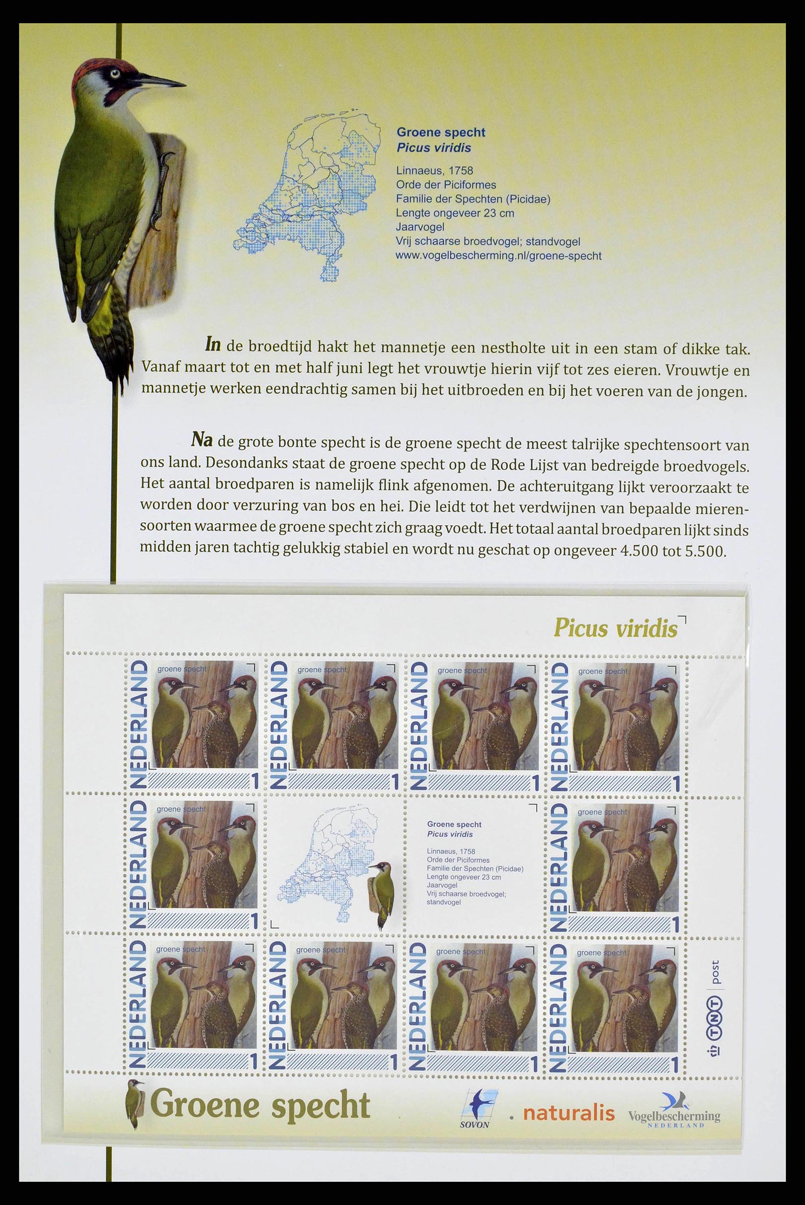 38383 0017 - Stamp collection 38383 Netherlands Dutch birds.