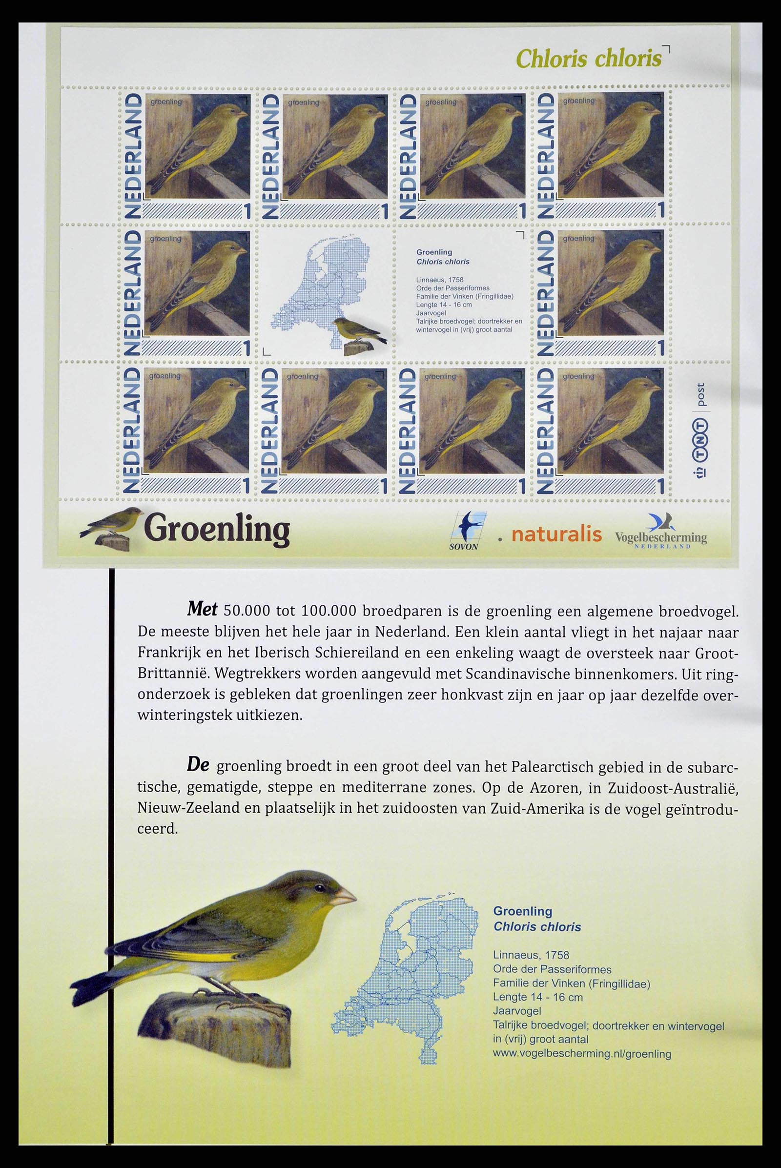 38383 0018 - Stamp collection 38383 Netherlands Dutch birds.