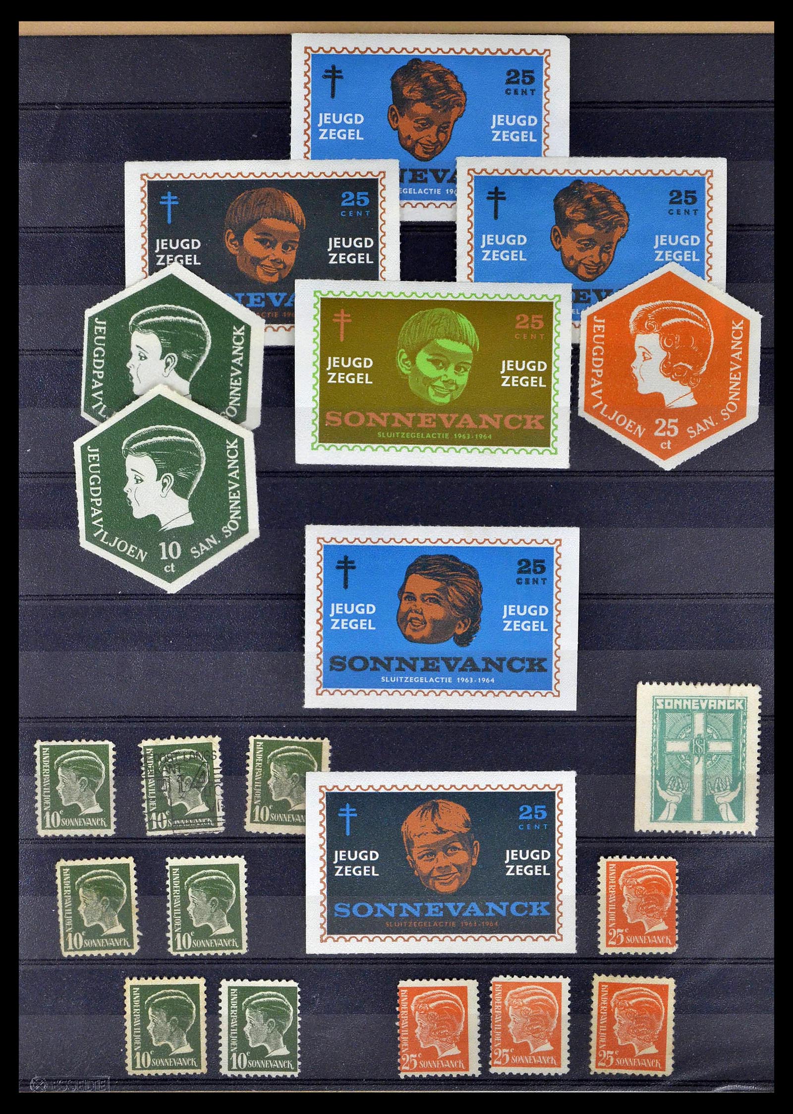 38786 0028 - Postzegelverzameling 38786 Nederland tuberculose 1906-2006.