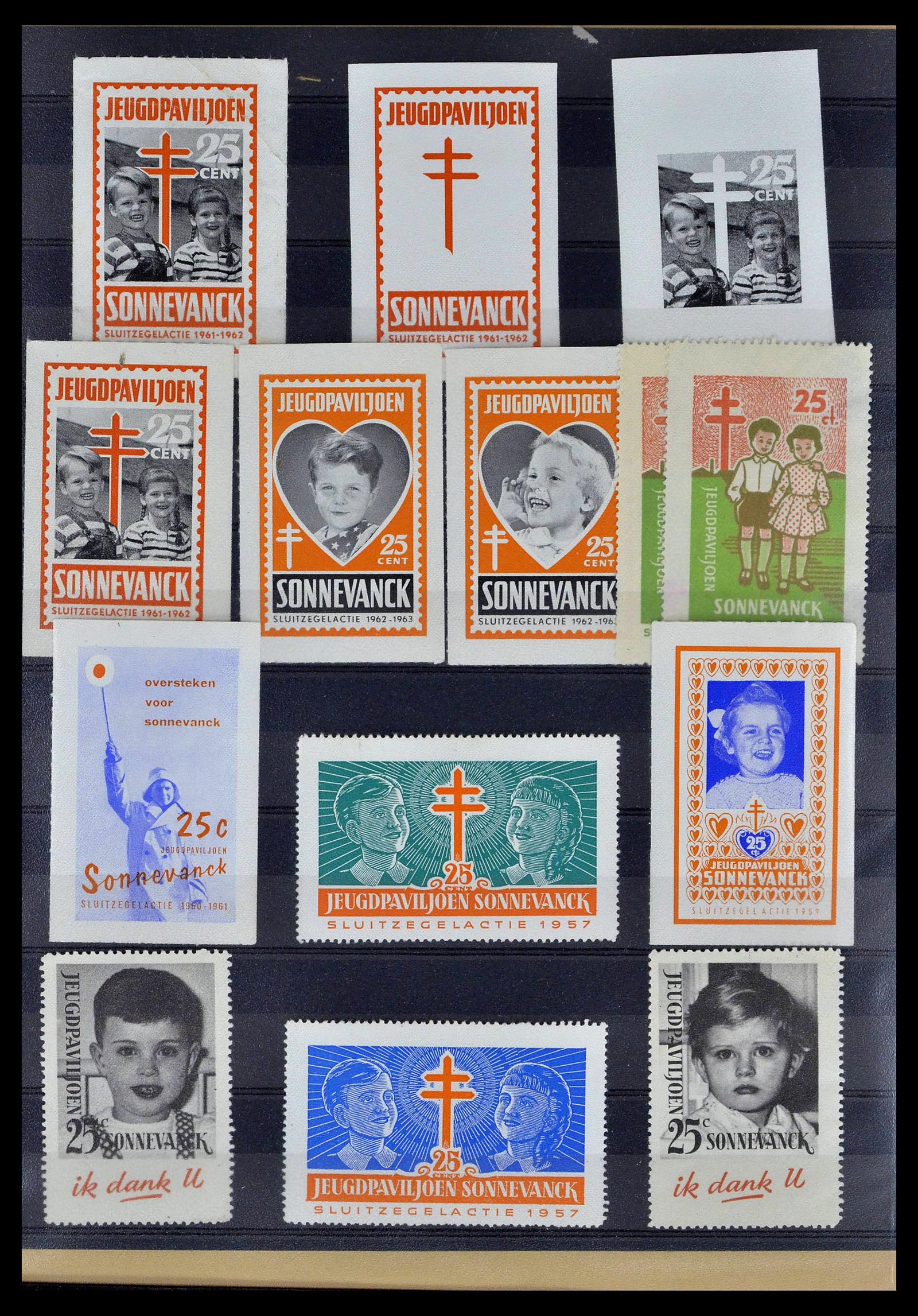 38786 0029 - Postzegelverzameling 38786 Nederland tuberculose 1906-2006.