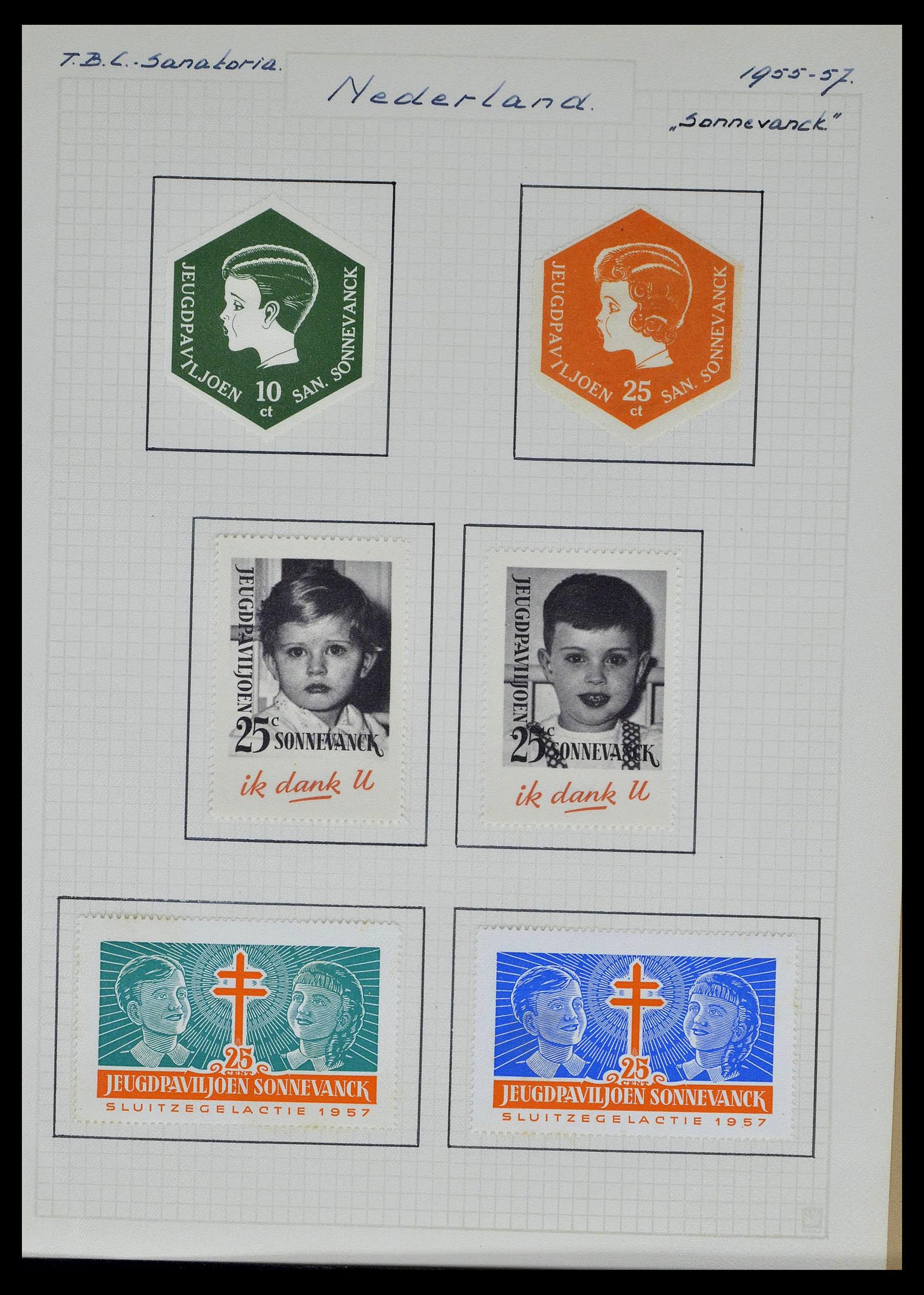 38786 0032 - Postzegelverzameling 38786 Nederland tuberculose 1906-2006.
