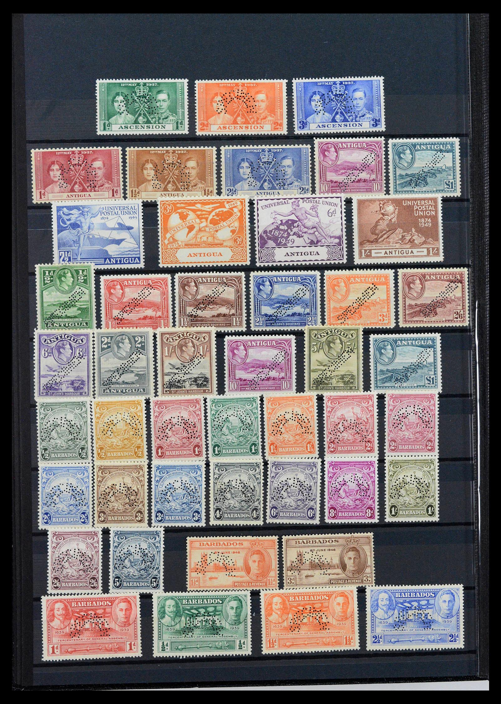 38950 0002 - Stamp collection 38950 British colonies specimen 1937-1952.