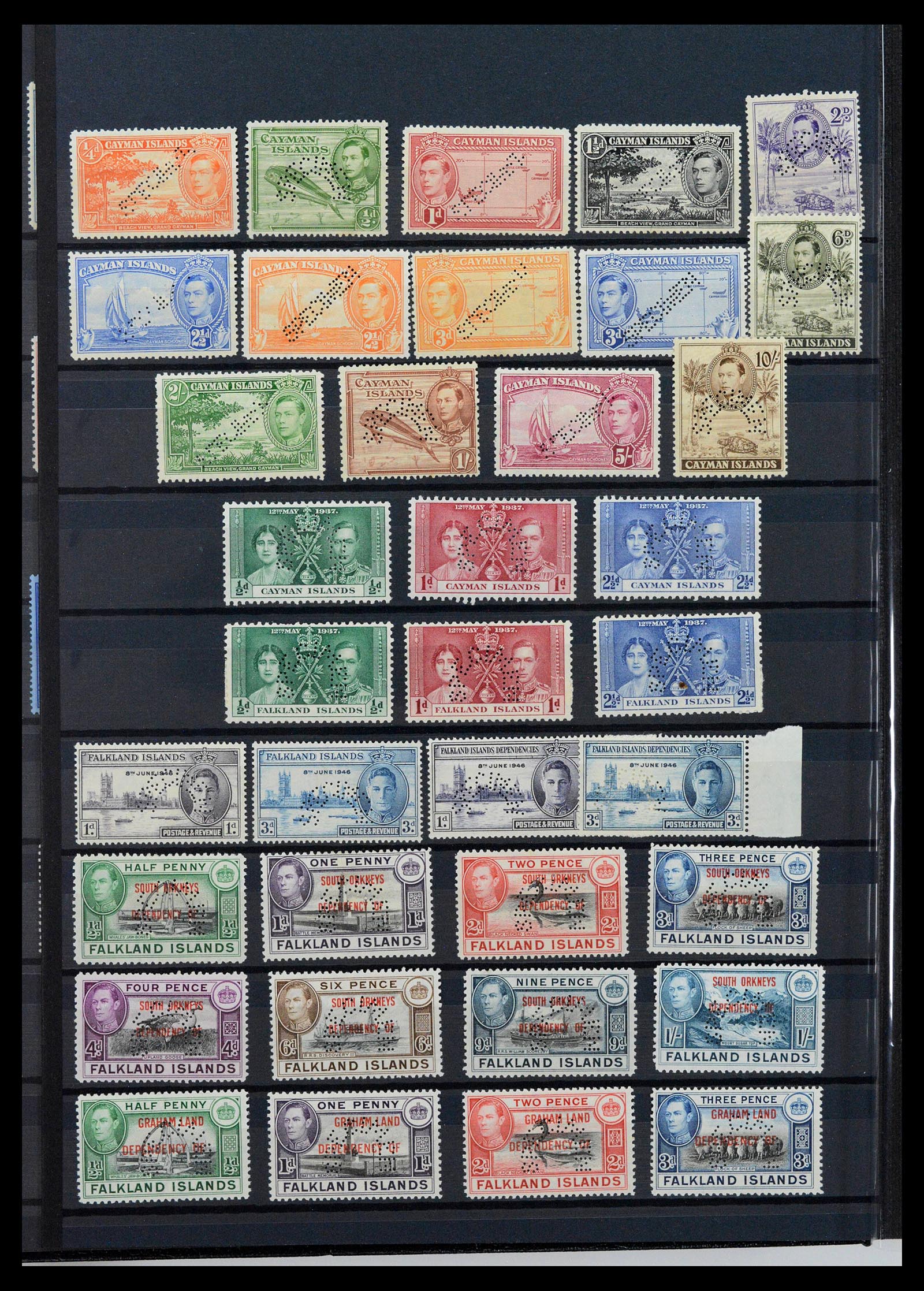 38950 0006 - Stamp collection 38950 British colonies specimen 1937-1952.