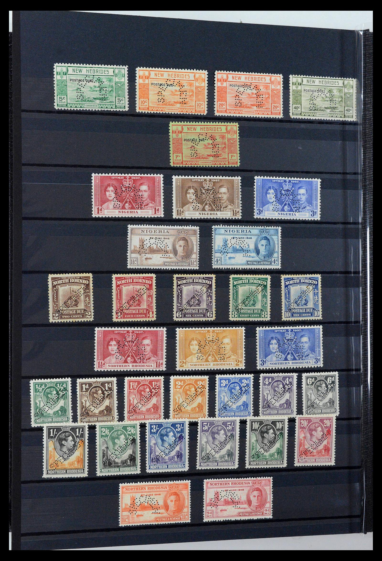 38950 0014 - Stamp collection 38950 British colonies specimen 1937-1952.