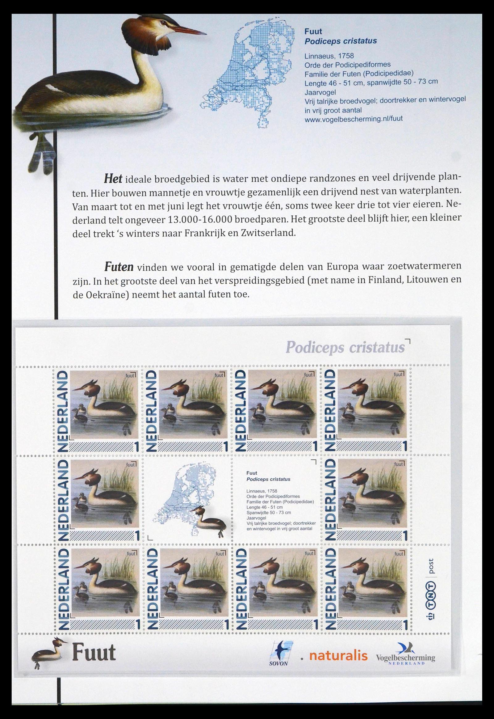 39794 0001 - Stamp collection 39794 Birds in the Netherlands.