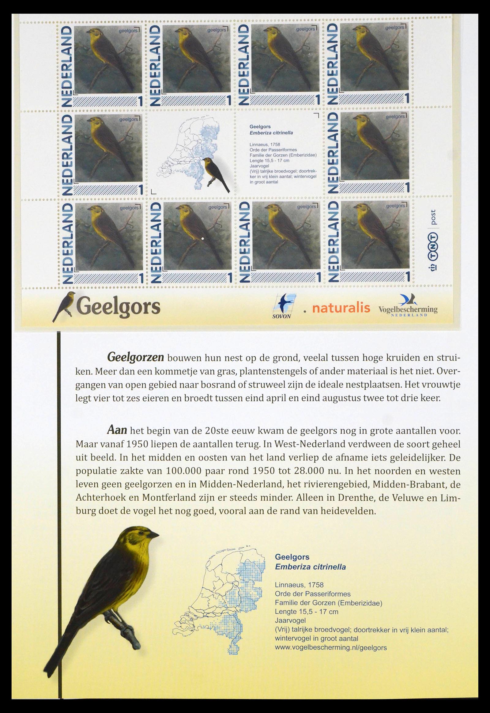 39794 0002 - Postzegelverzameling 39794 Vogels in Nederland.