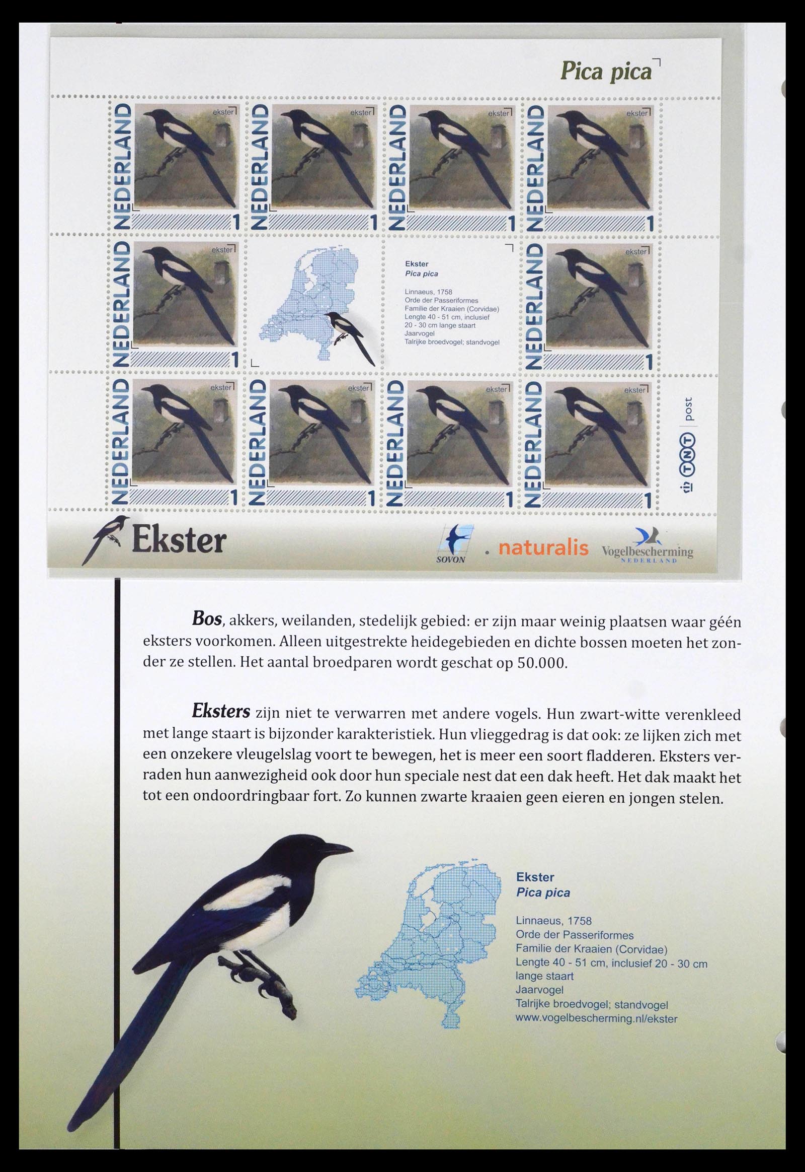 39794 0004 - Stamp collection 39794 Birds in the Netherlands.